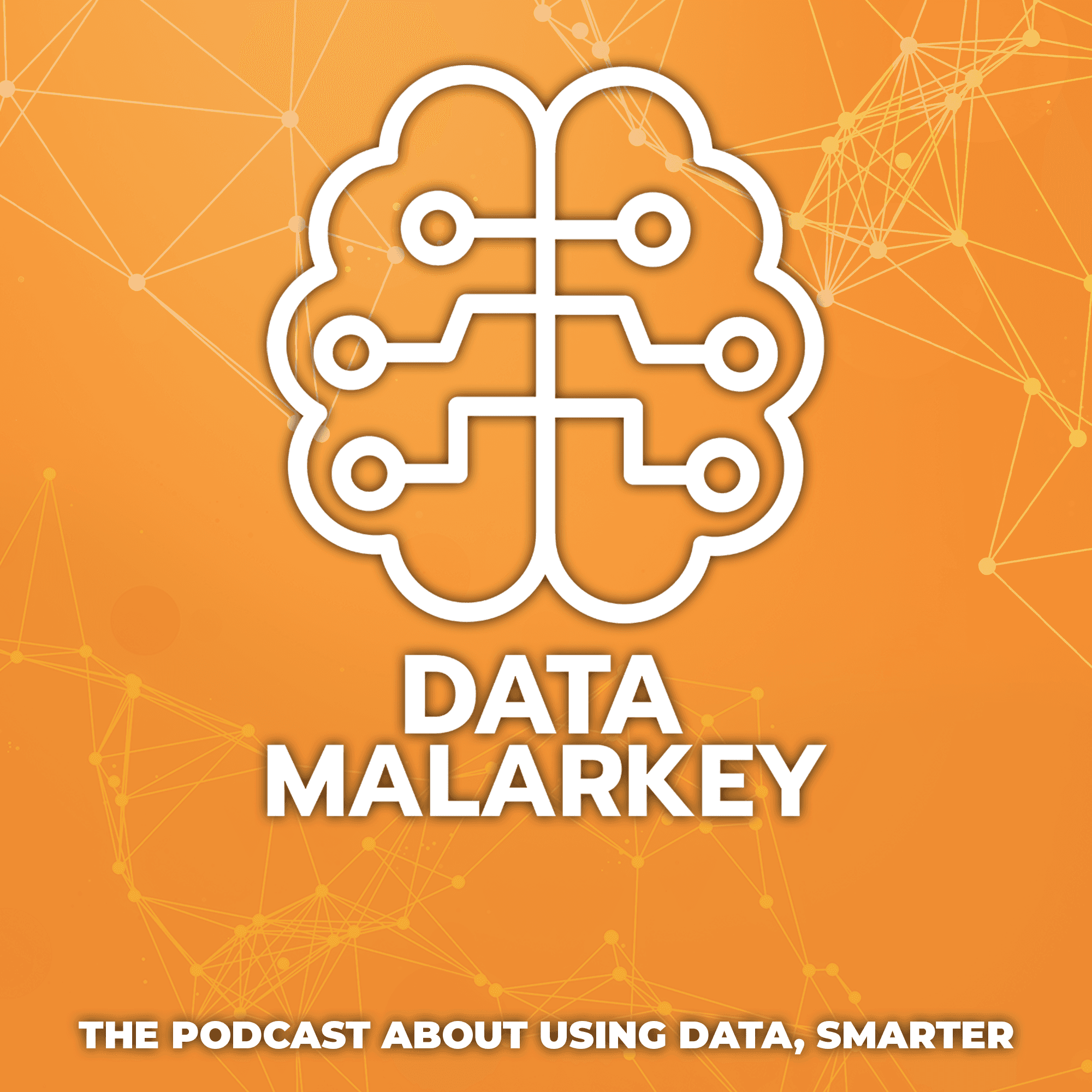 The Data Malarkey Podcast podcast artwork