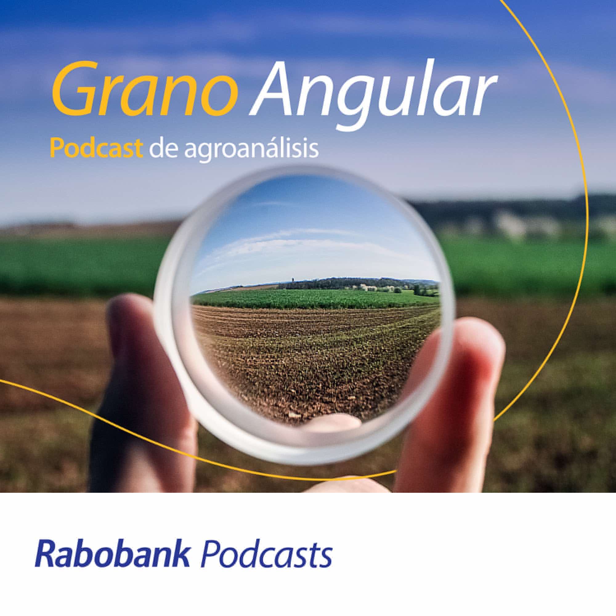 Grano Angular: Podcast de agroanálisis podcast artwork
