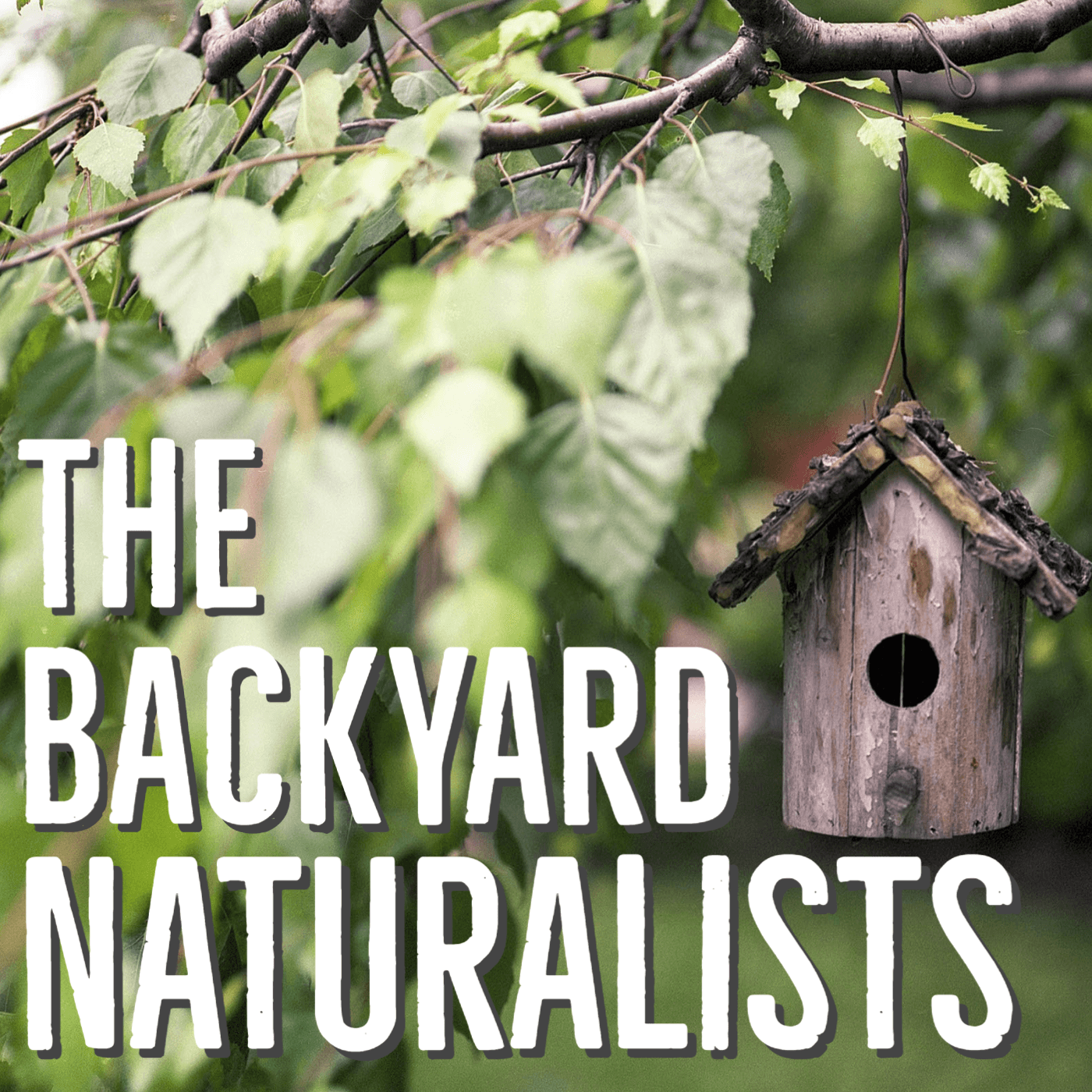 The Backyard Naturalists podcast artwork