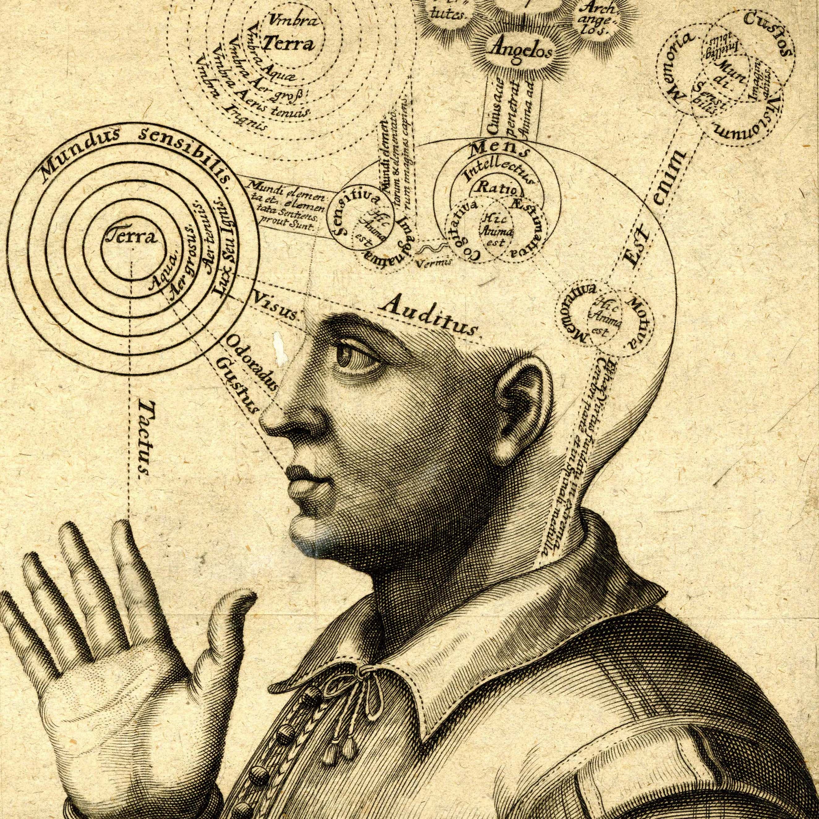 The Podcast for Social Research podcast artwork