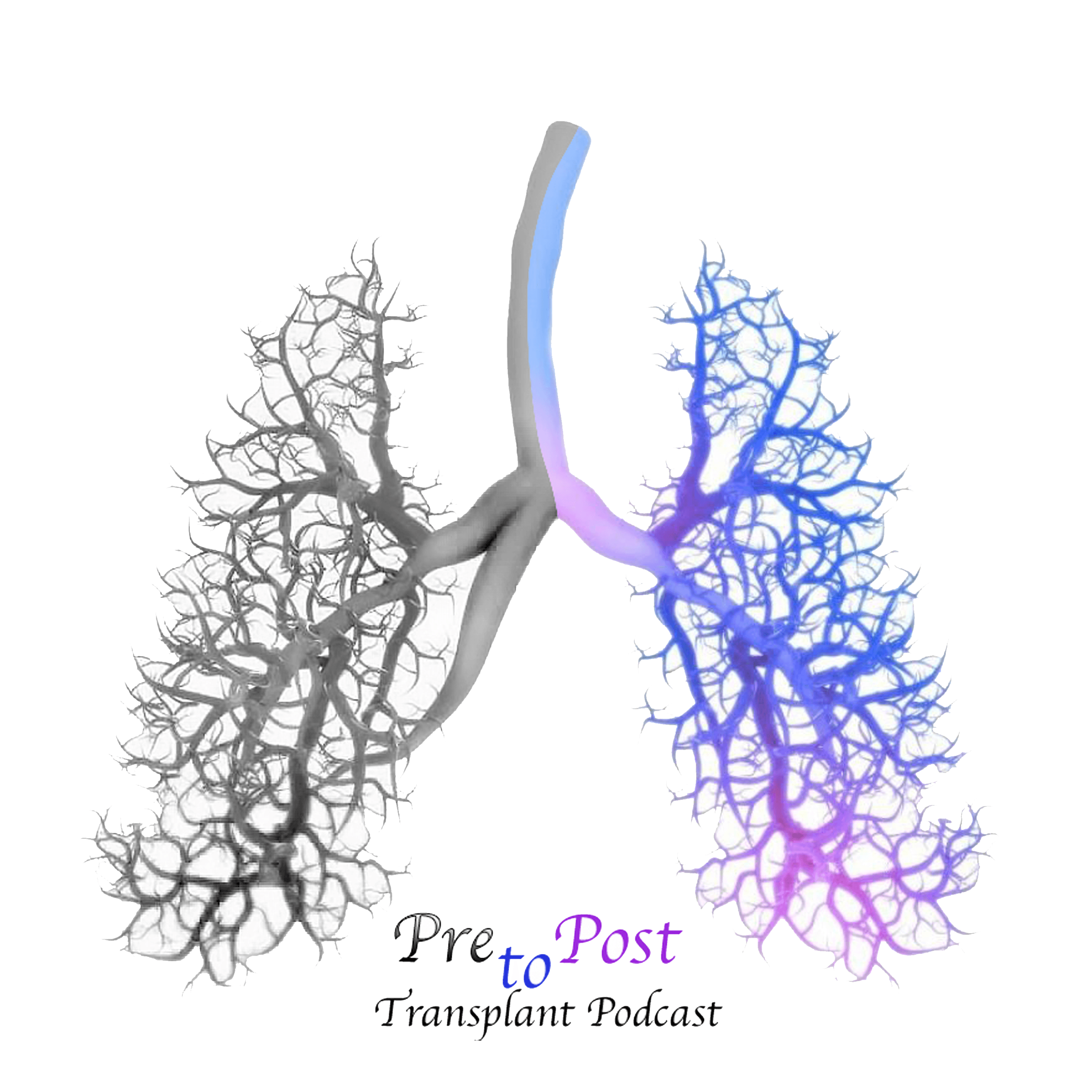 Pre to Post Transplant podcast artwork