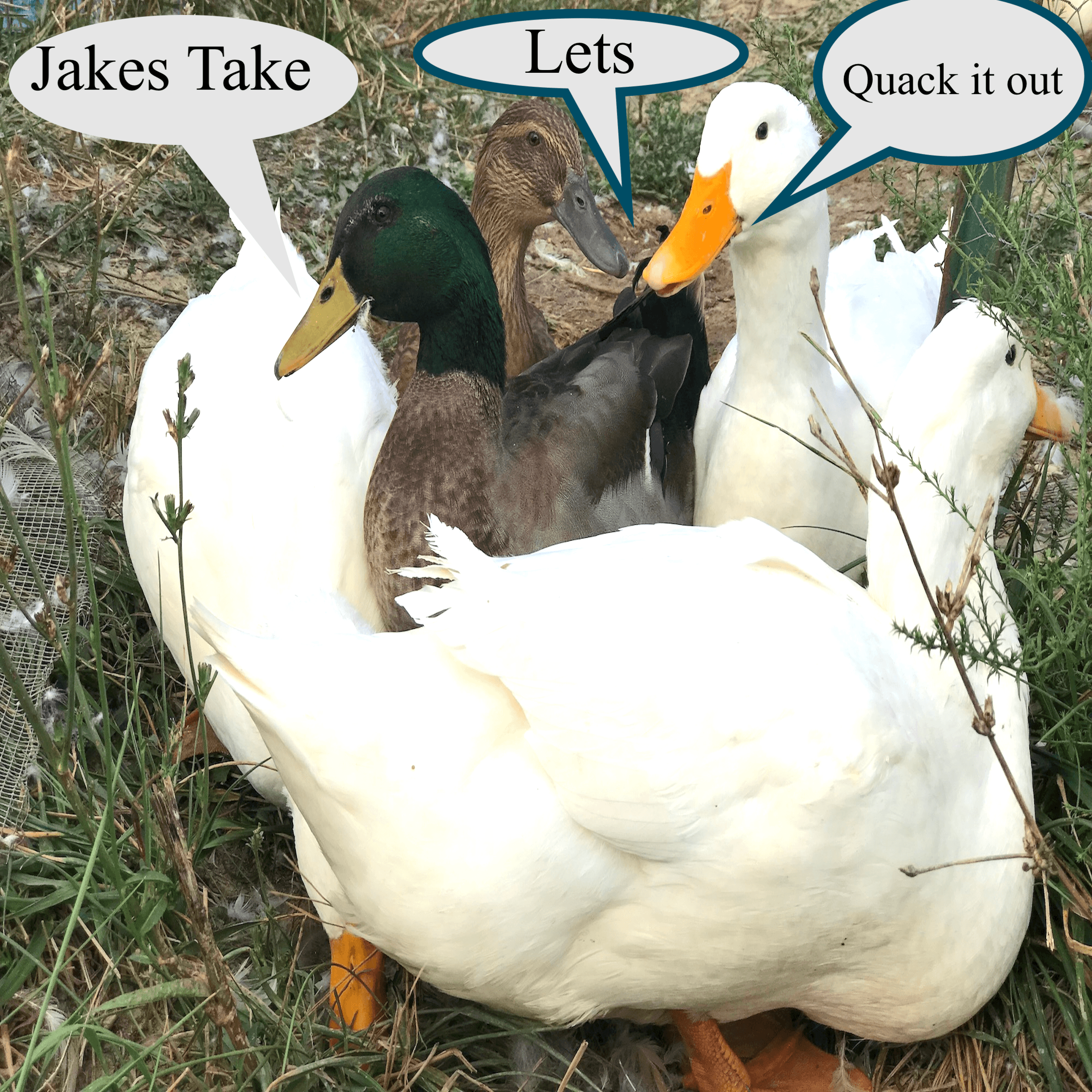 Jakes Take podcast artwork