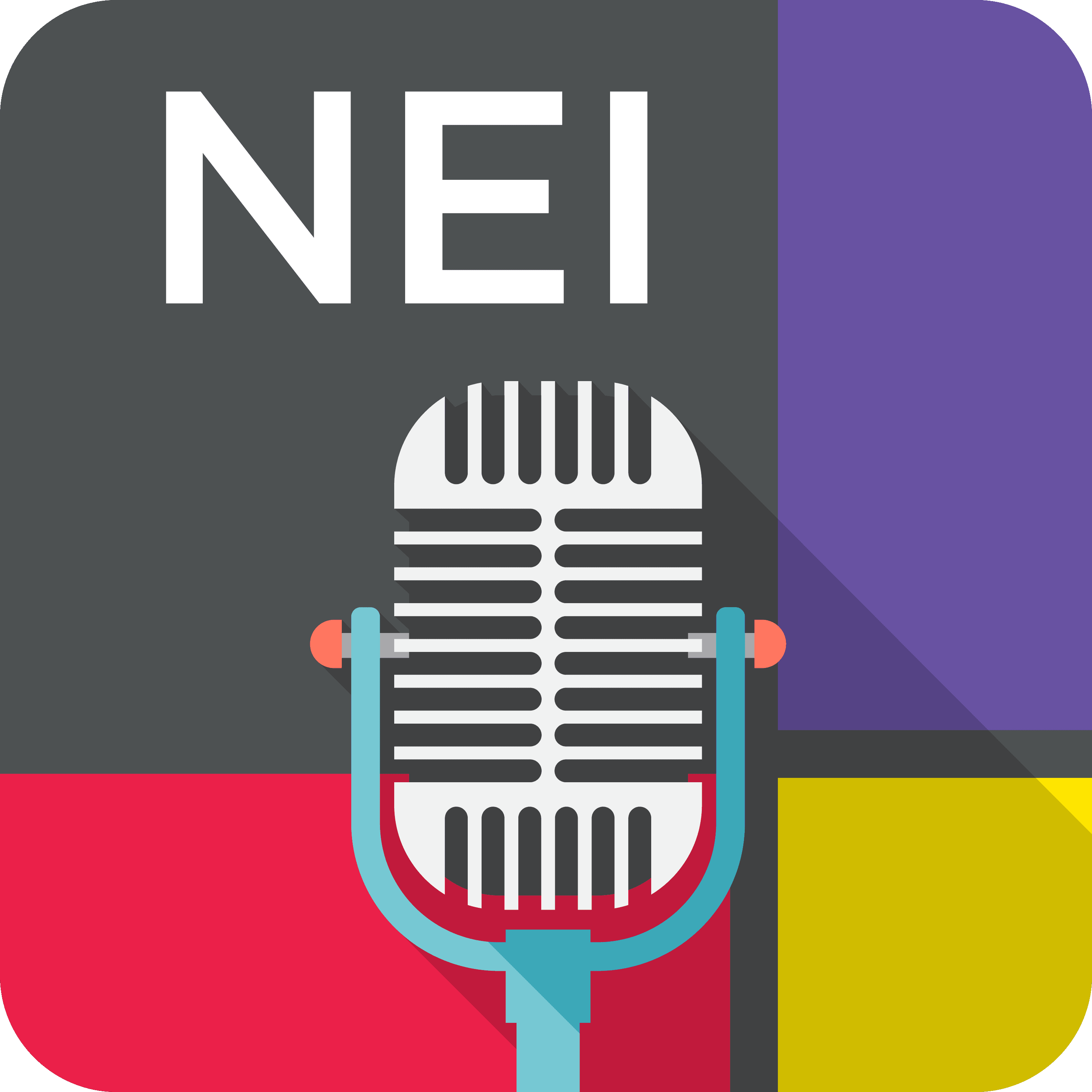 NEI Podcast podcast artwork