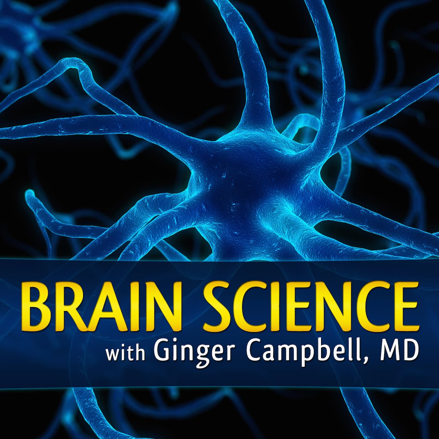 Brain Science with Ginger Campbell, MD: Neuroscience for Everyone podcast artwork