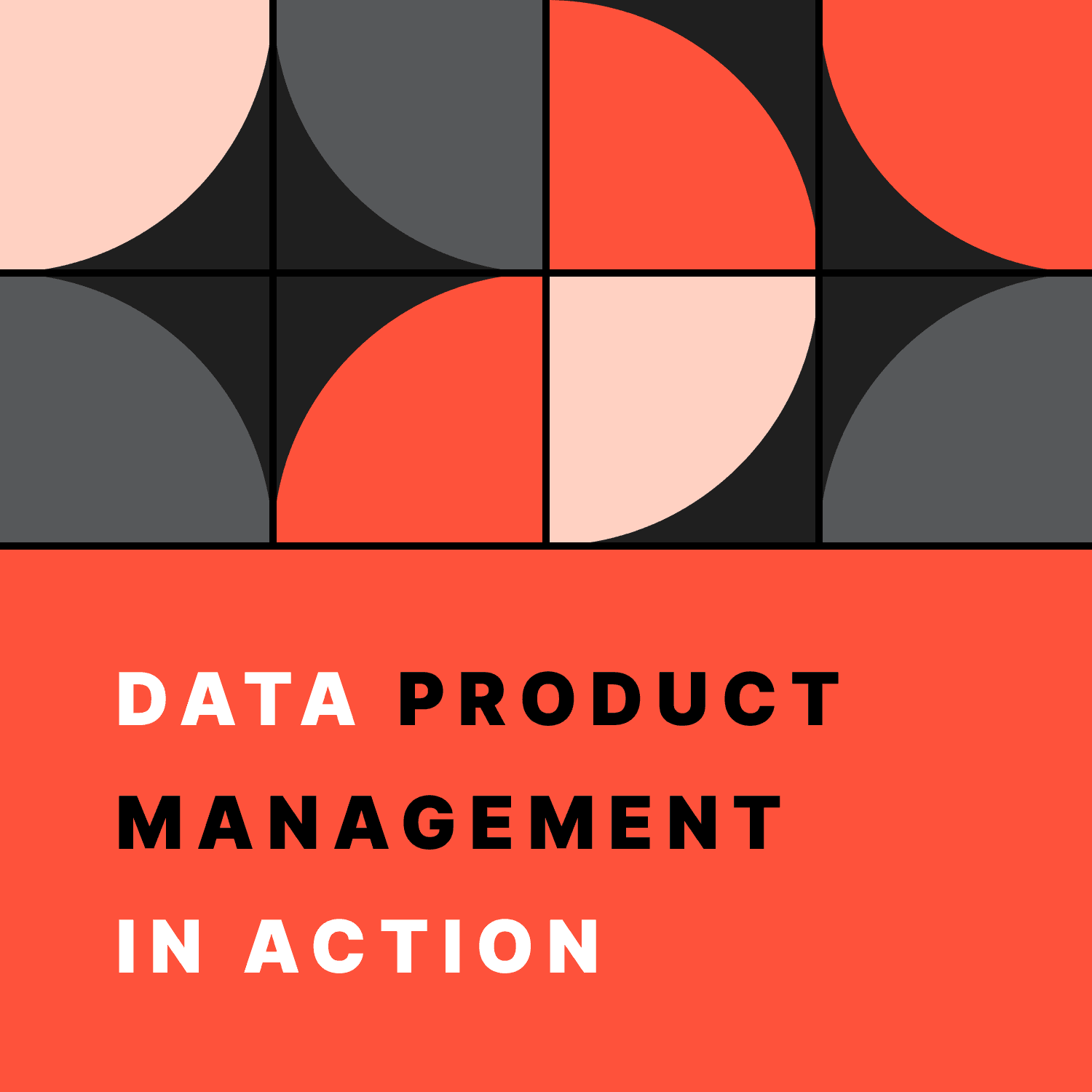 Data Product Management in Action: The Practitioner's Podcast podcast artwork