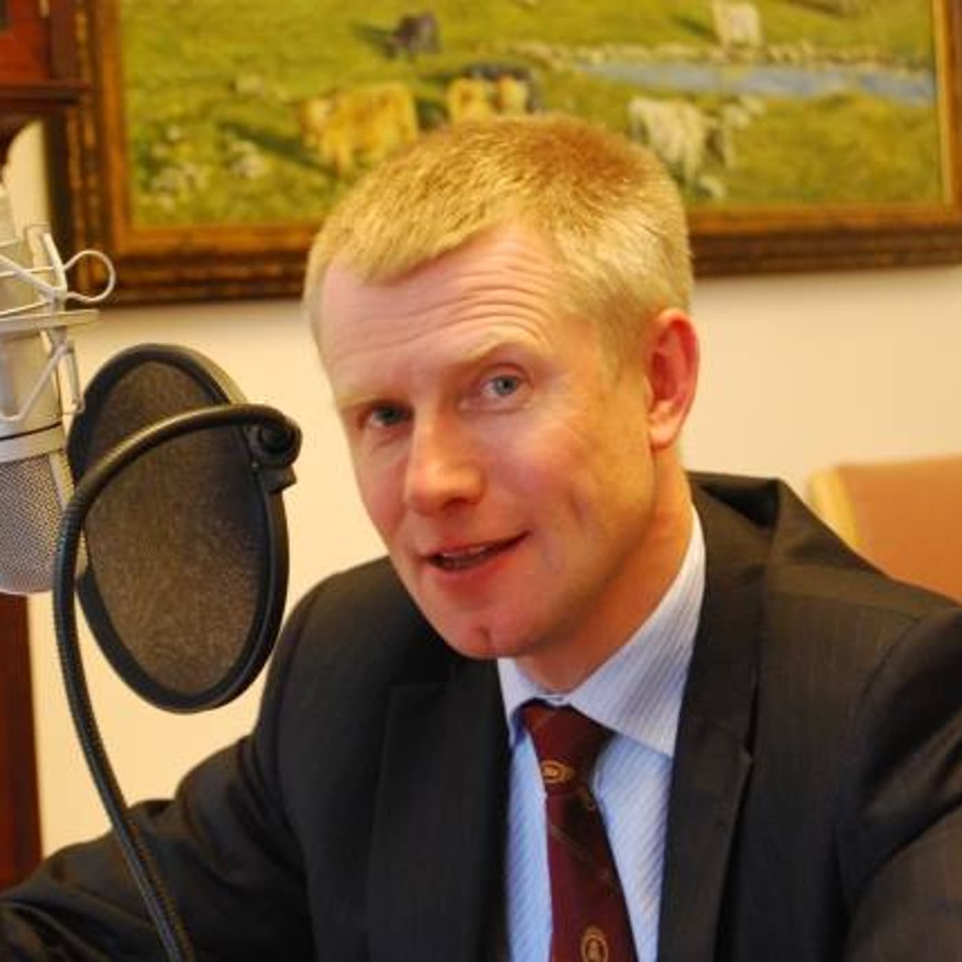 Den politiska talradion - dinledamot.se podcast artwork