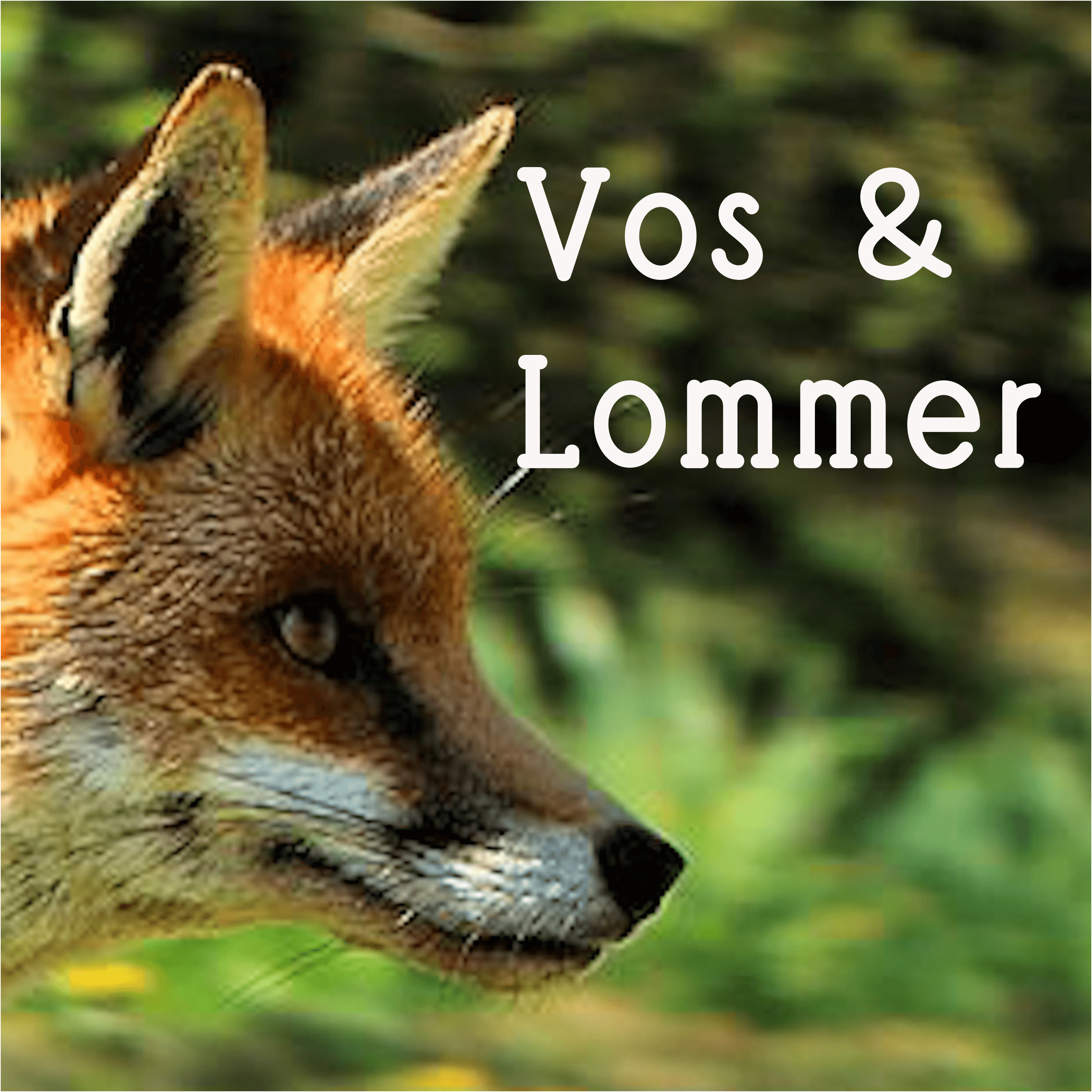 Vos en Lommer podcast artwork