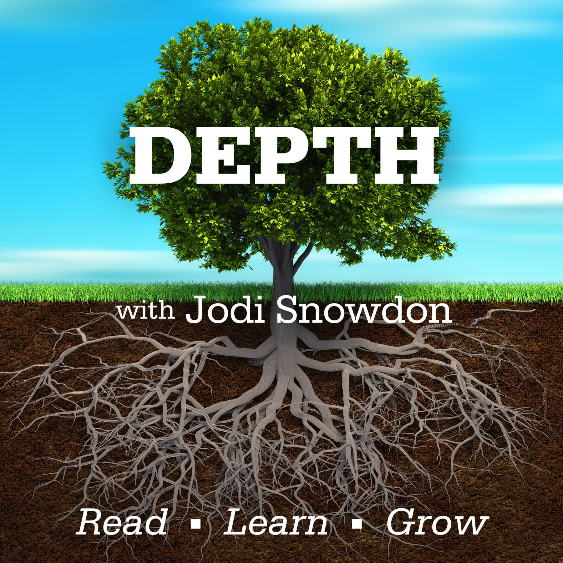 Depth Podcast podcast artwork