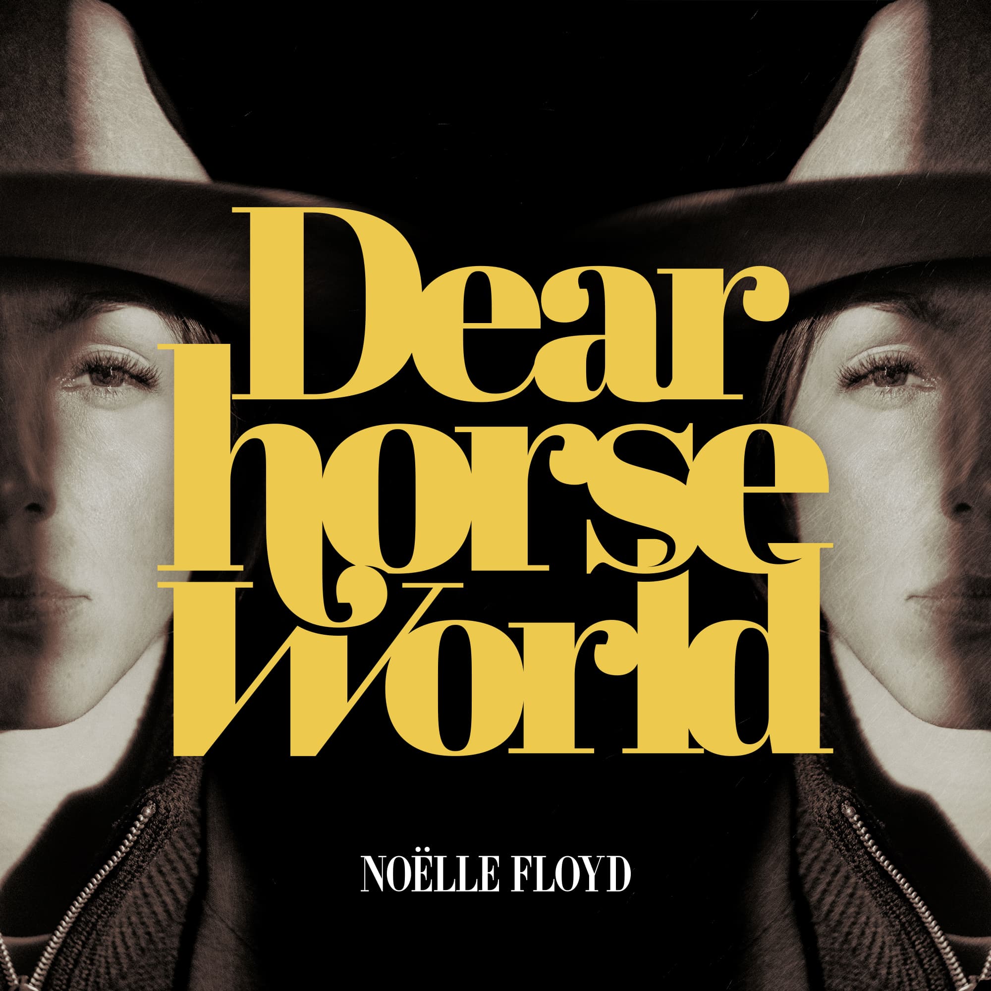 Dear Horse World podcast artwork