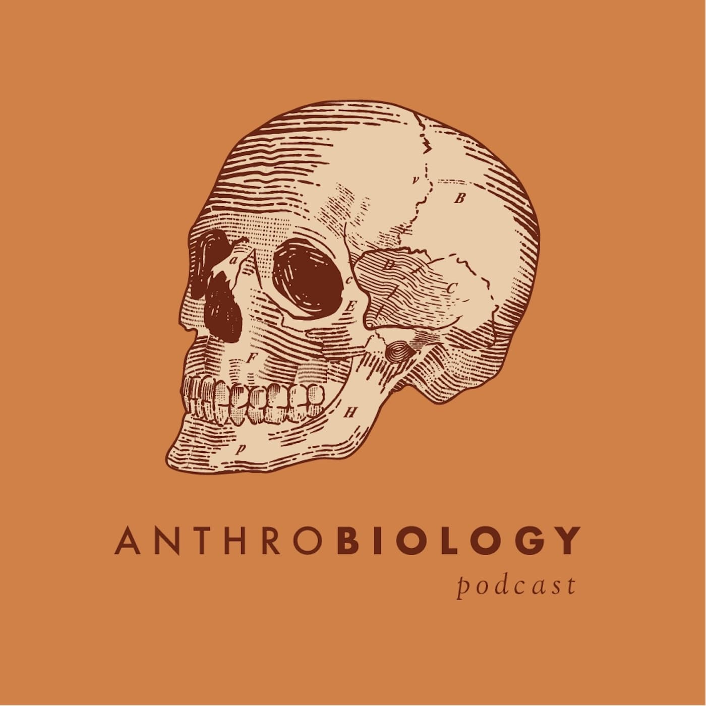 AnthroBiology Podcast podcast artwork