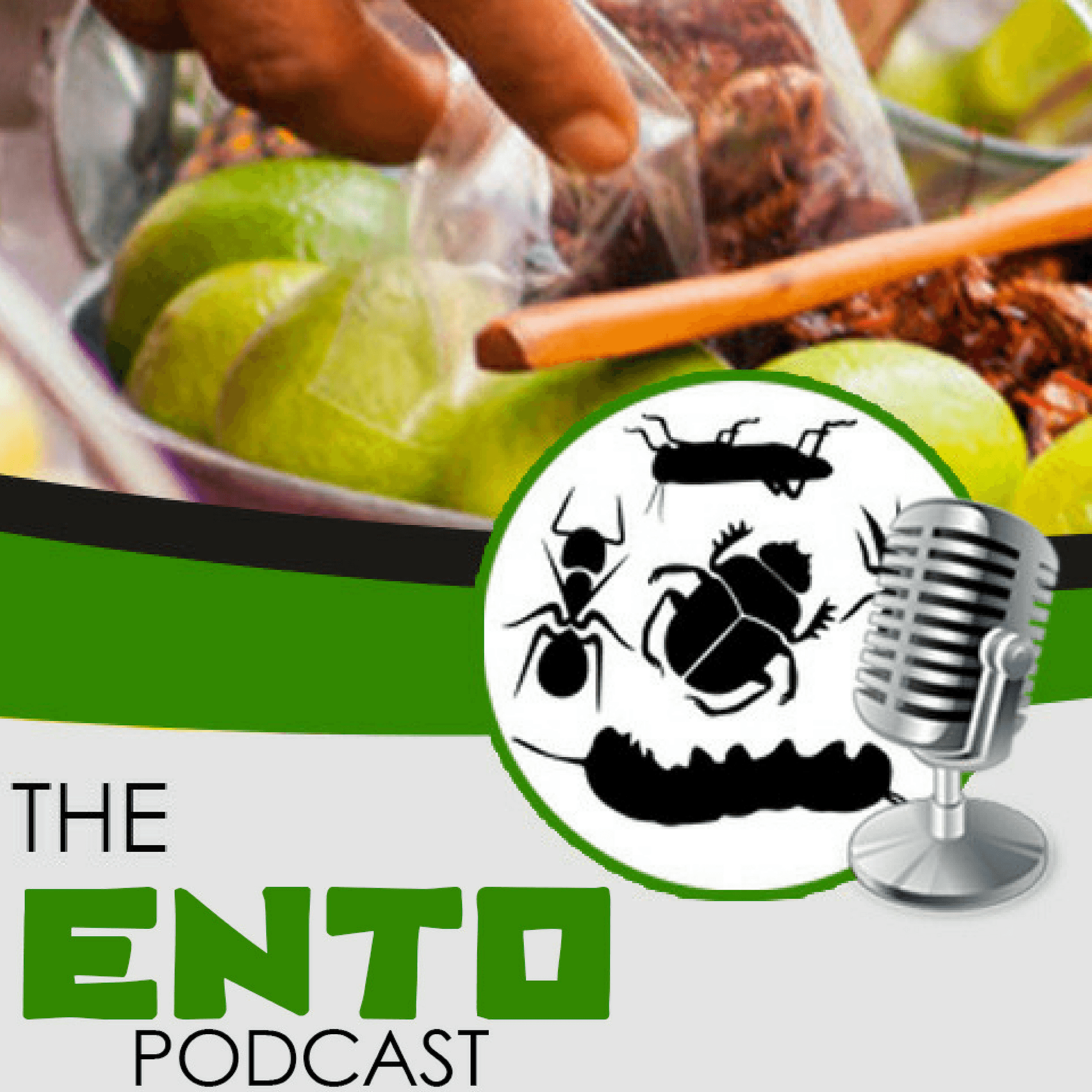 The Ento Podcast podcast artwork