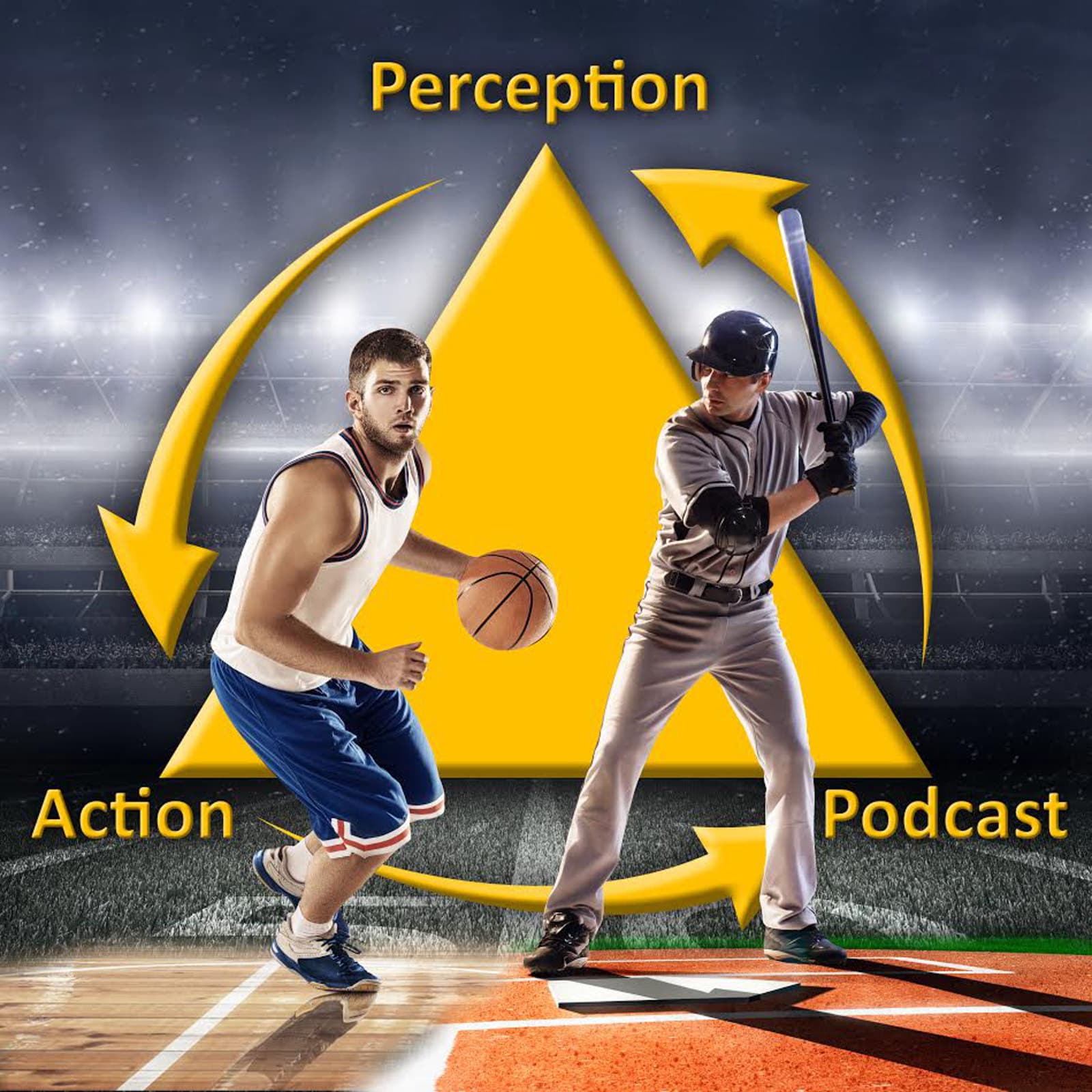 The Perception & Action Podcast podcast artwork