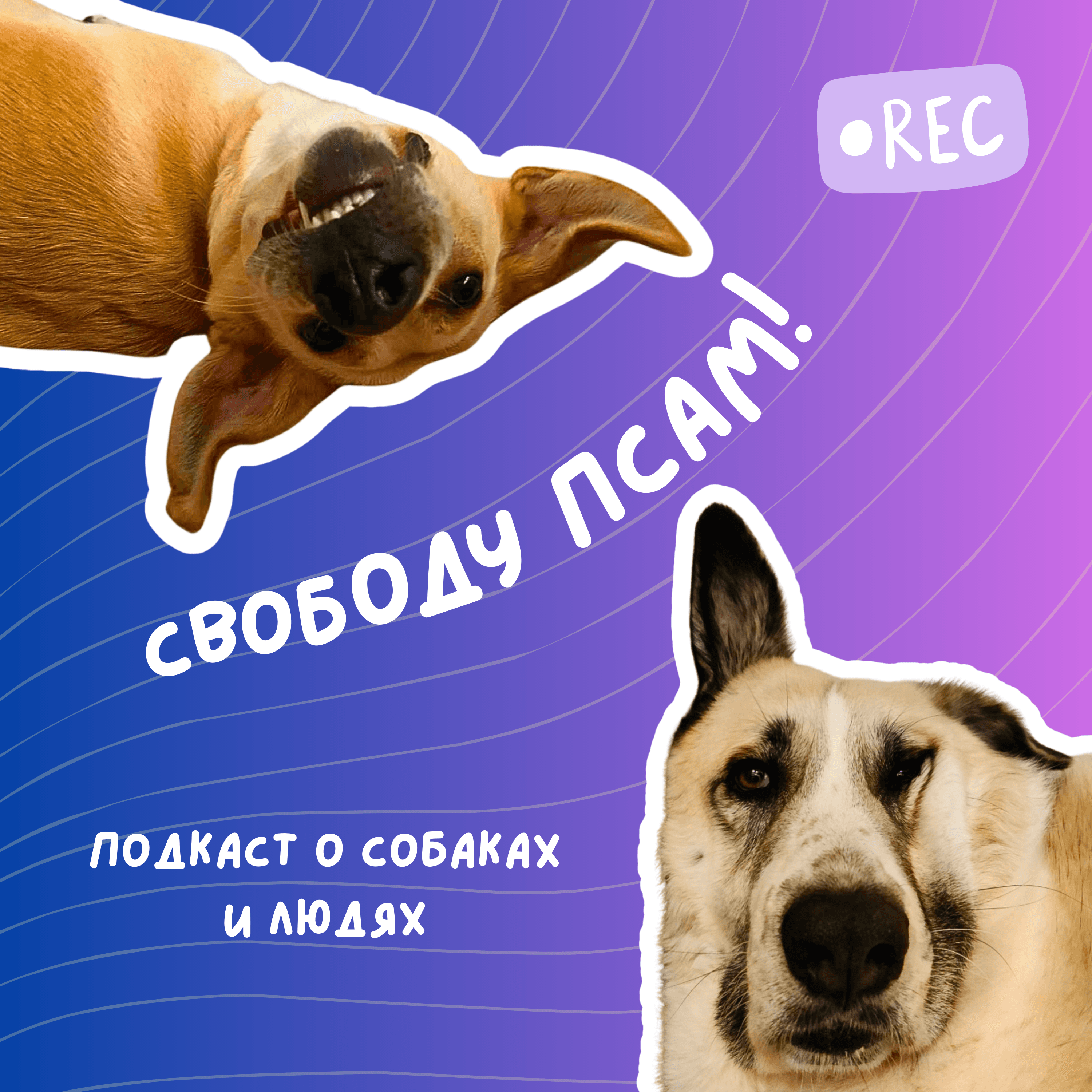 Свободу псам! podcast artwork