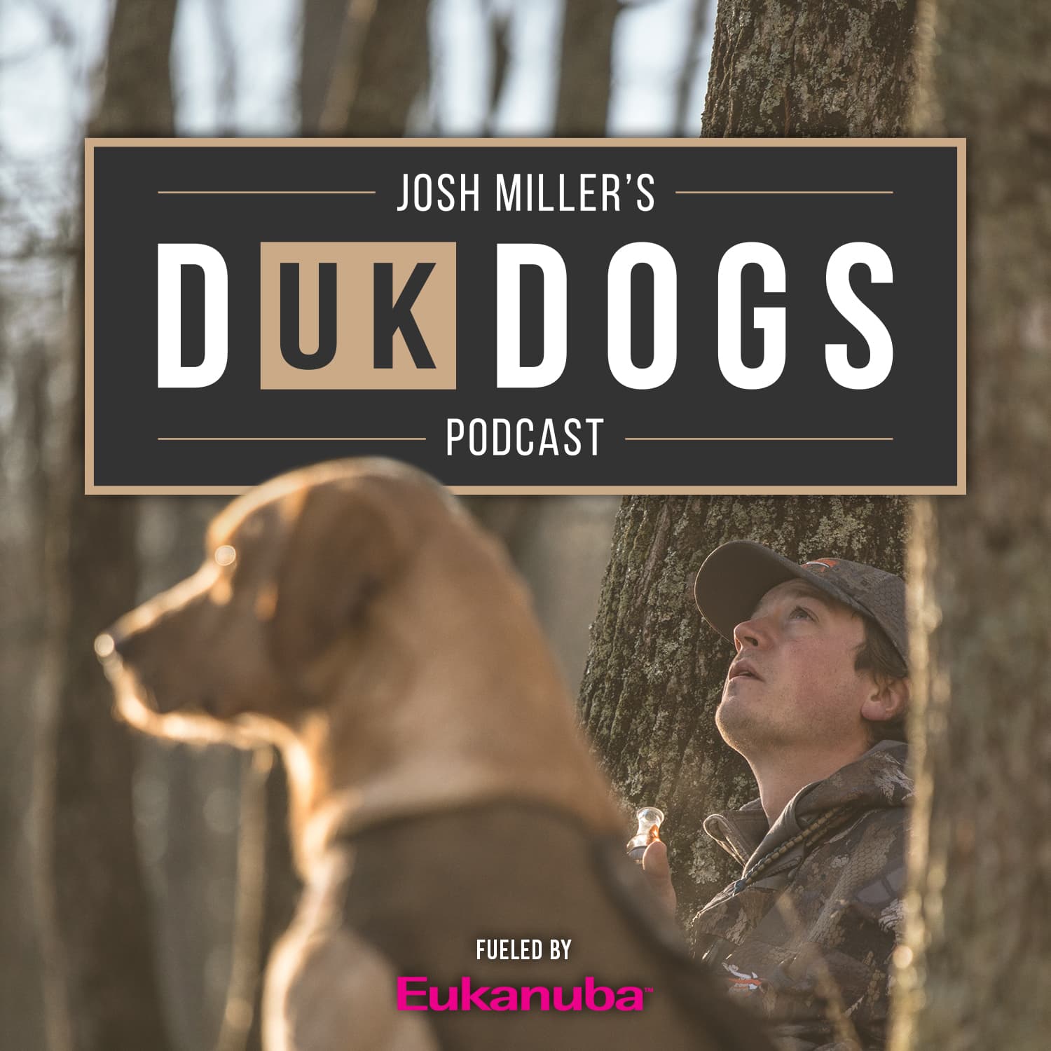 DUK Dogs podcast artwork
