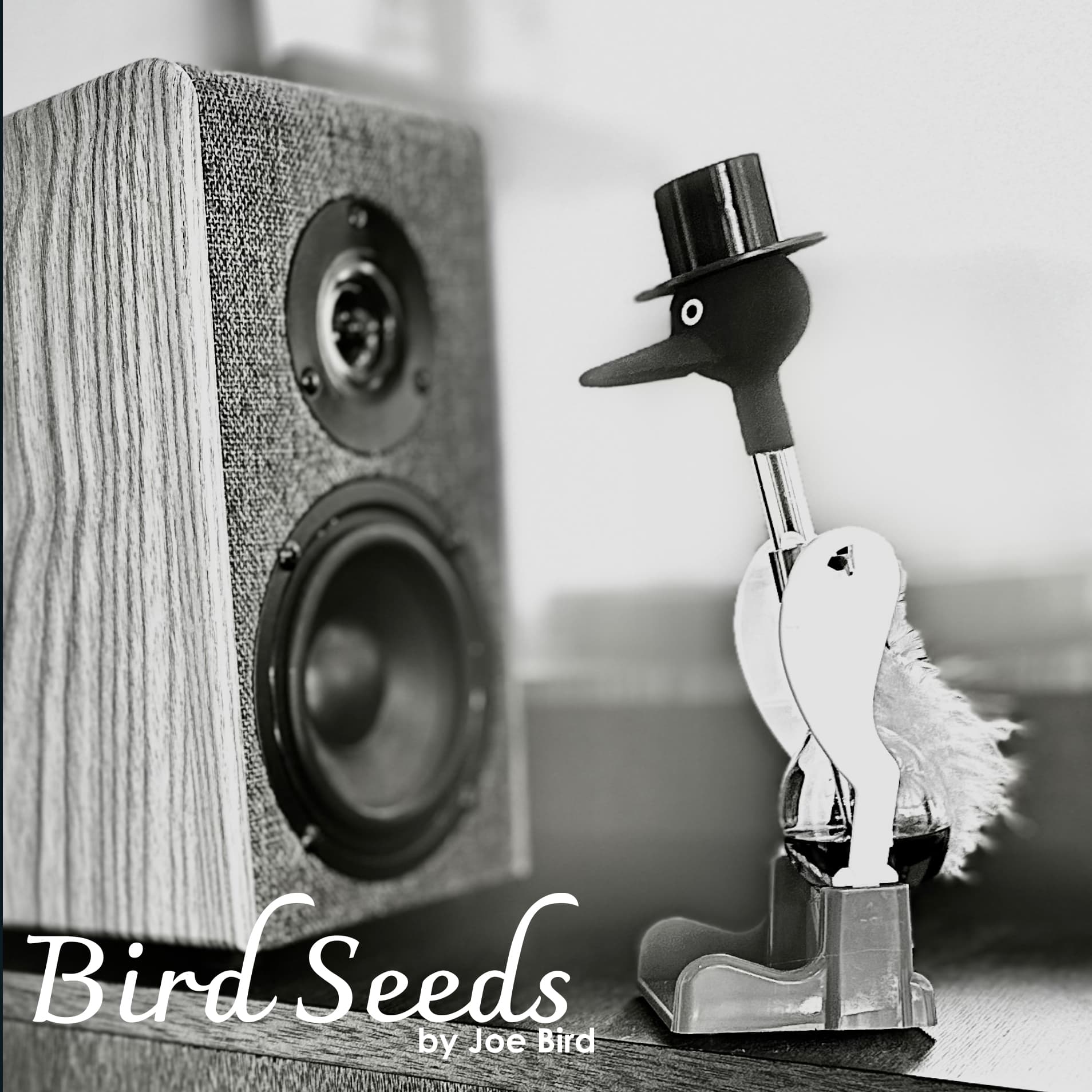 Bird Seeds by Joe Bird podcast artwork