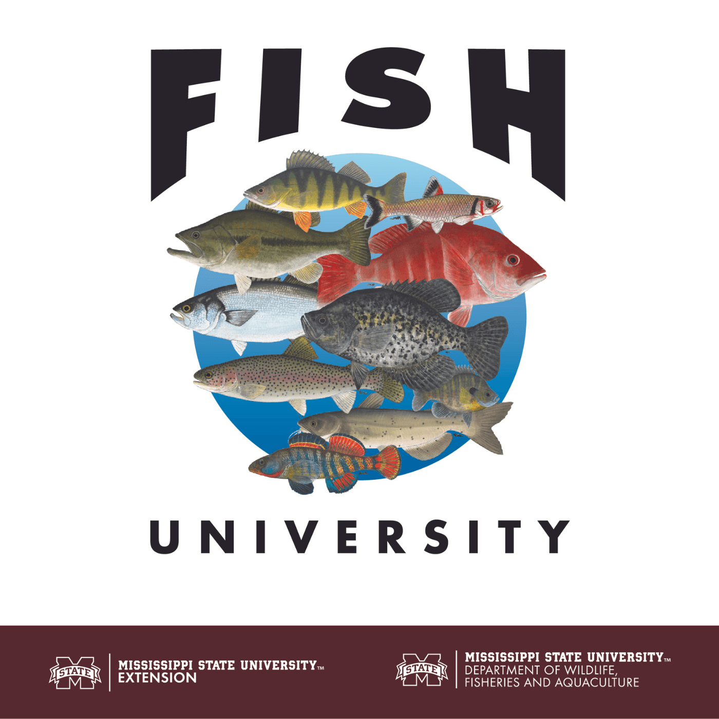 Fish University podcast artwork