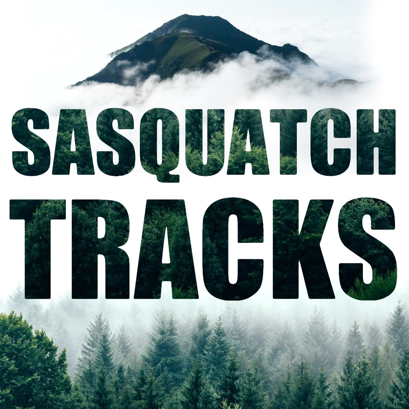 Sasquatch Tracks podcast artwork