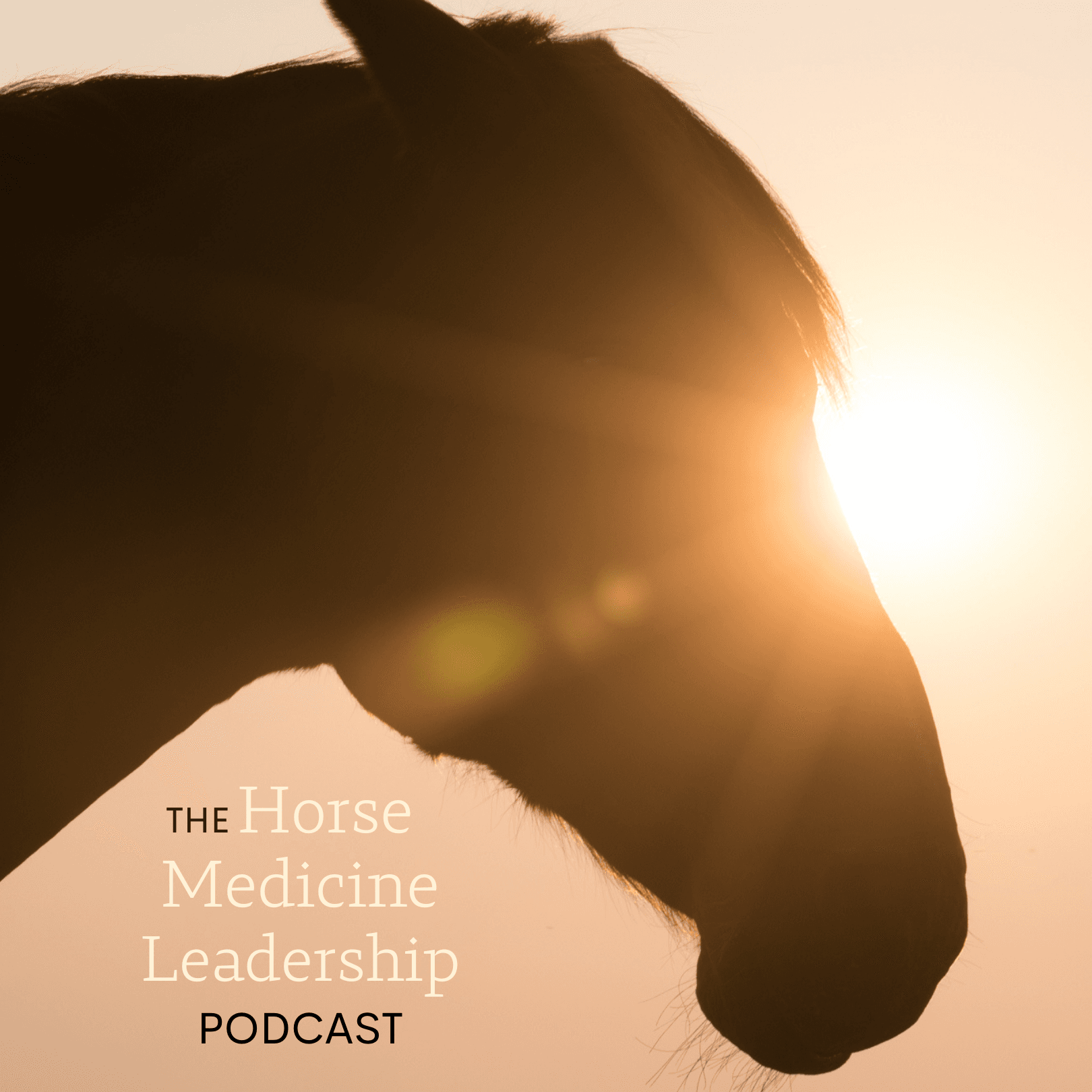 Horse Medicine Leadership podcast artwork