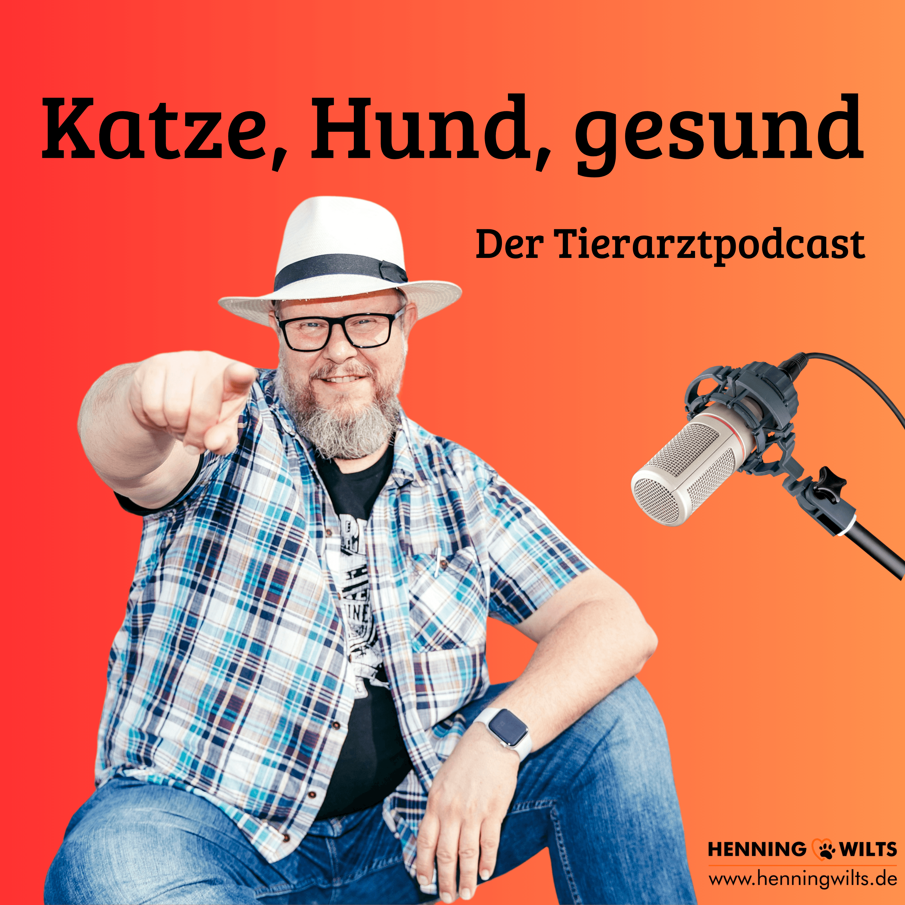 Katze, Hund gesund - Der Tierarztpodcast podcast artwork