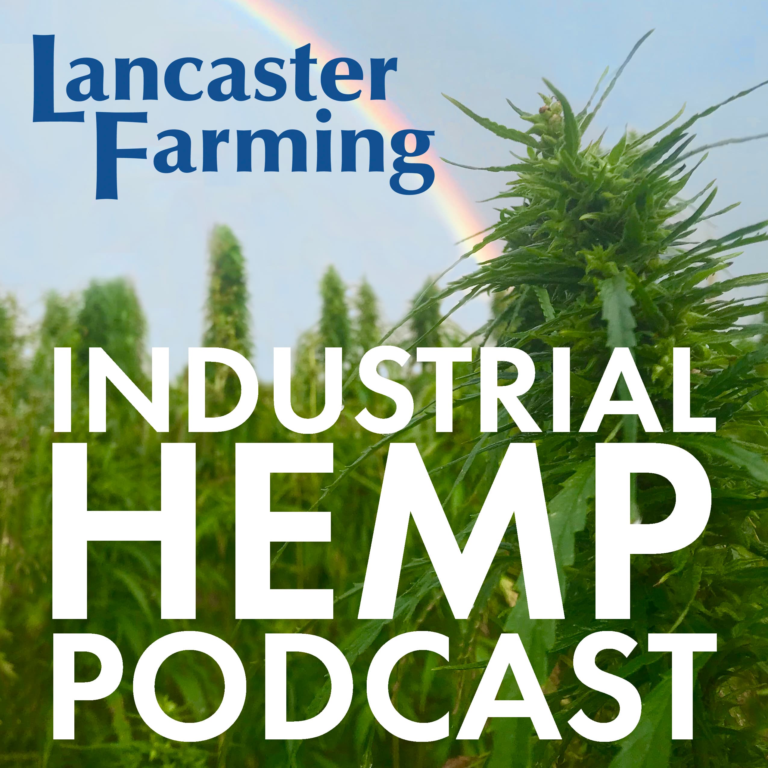 Industrial Hemp Podcast podcast artwork
