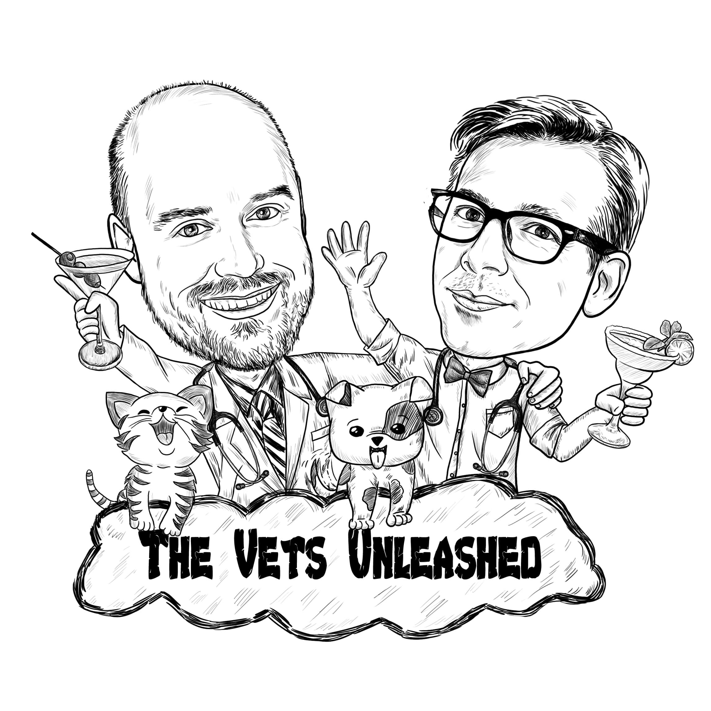 The Vets Unleashed podcast artwork