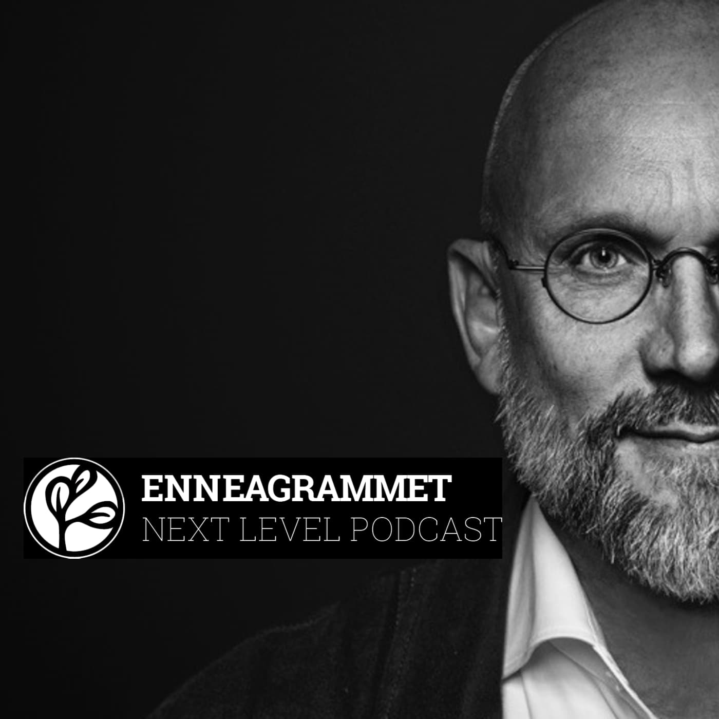 Enneagrammet Next Level podcast podcast artwork