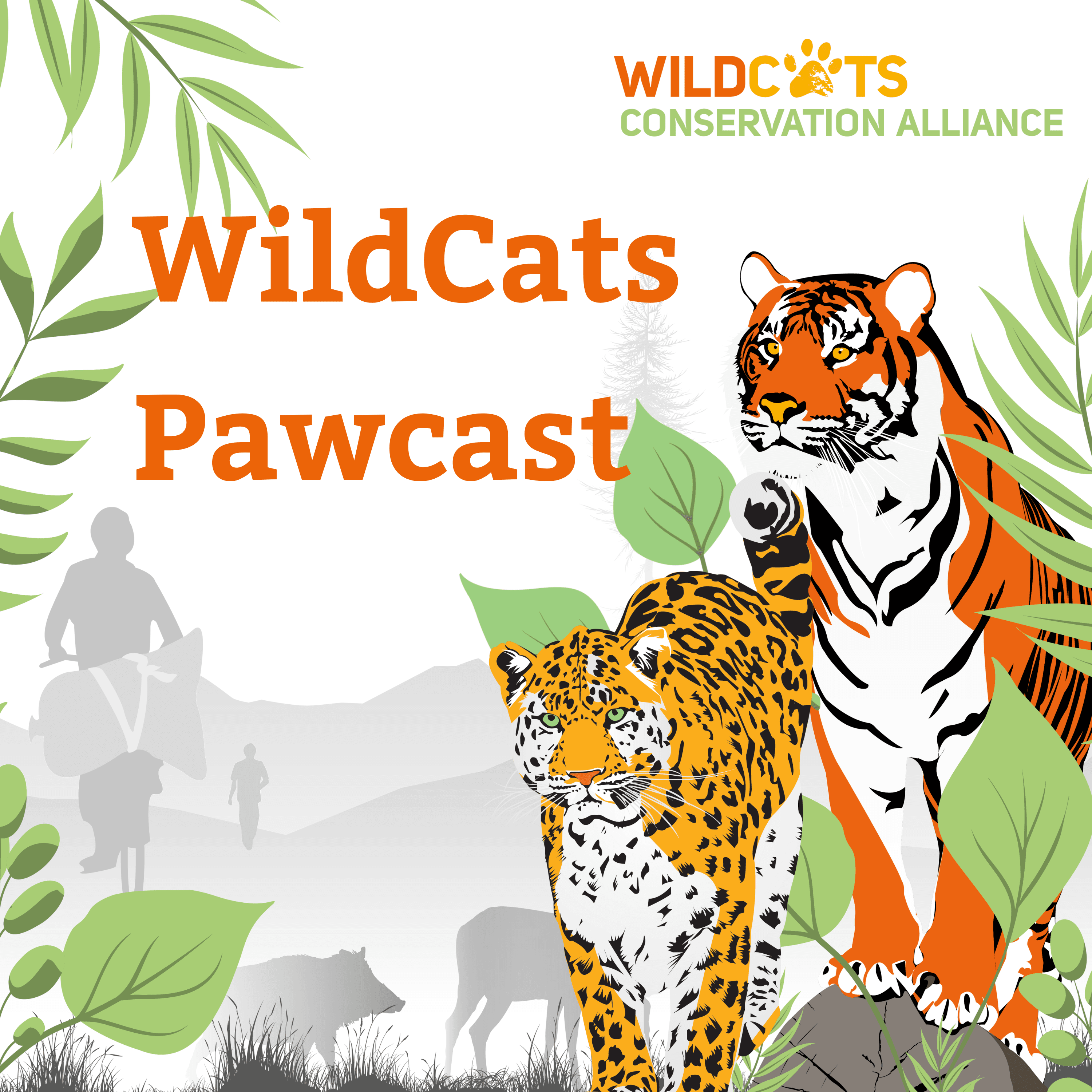 WildCats Pawcast podcast artwork