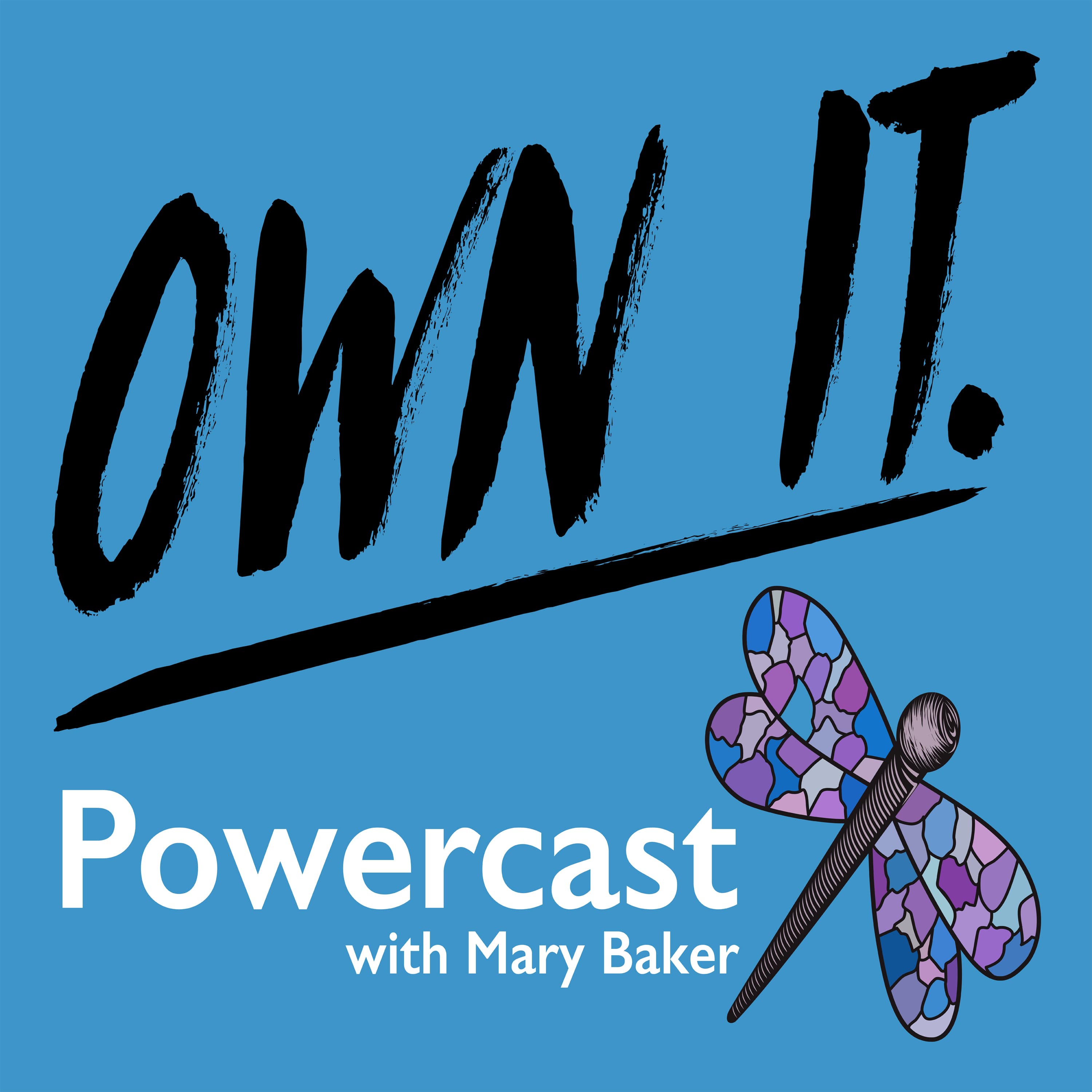 Ownit! Powercast podcast artwork