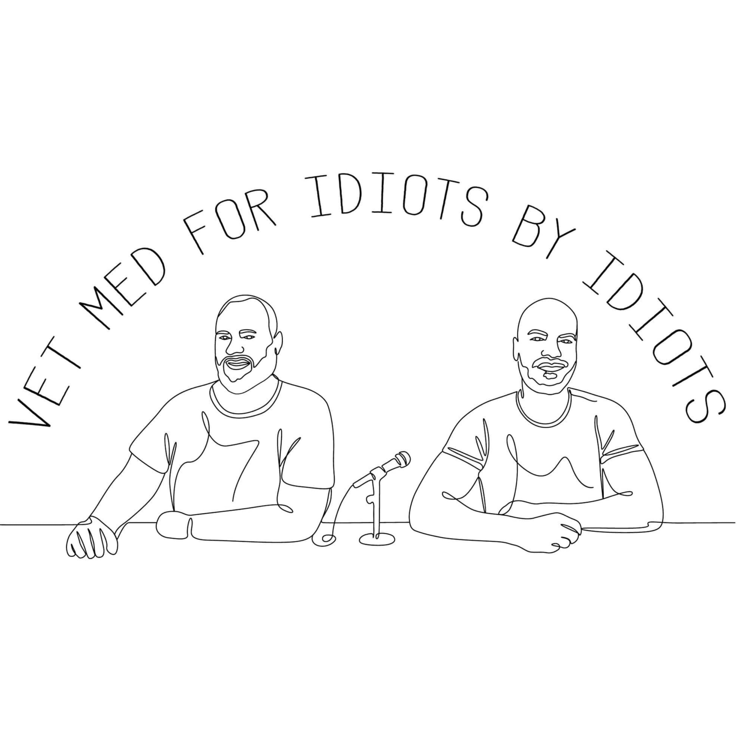 Vet Med For Idiots By Idiots podcast artwork