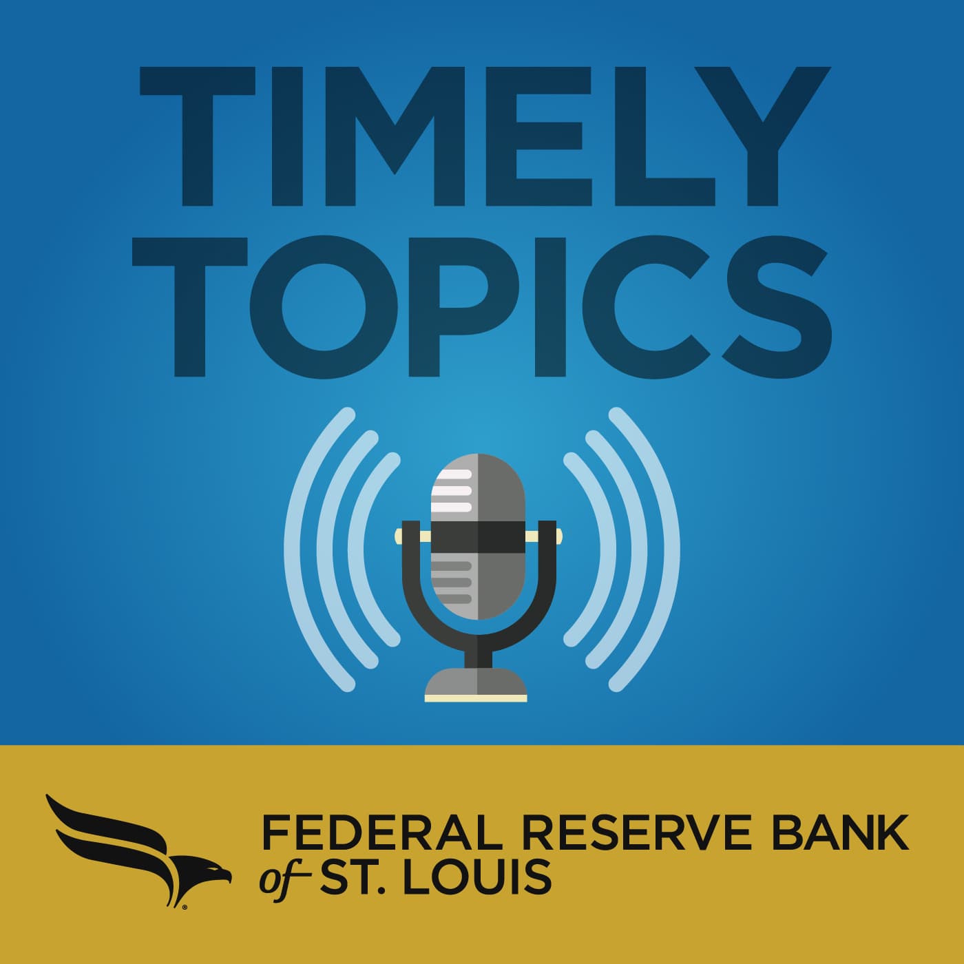 Timely Topics podcast artwork