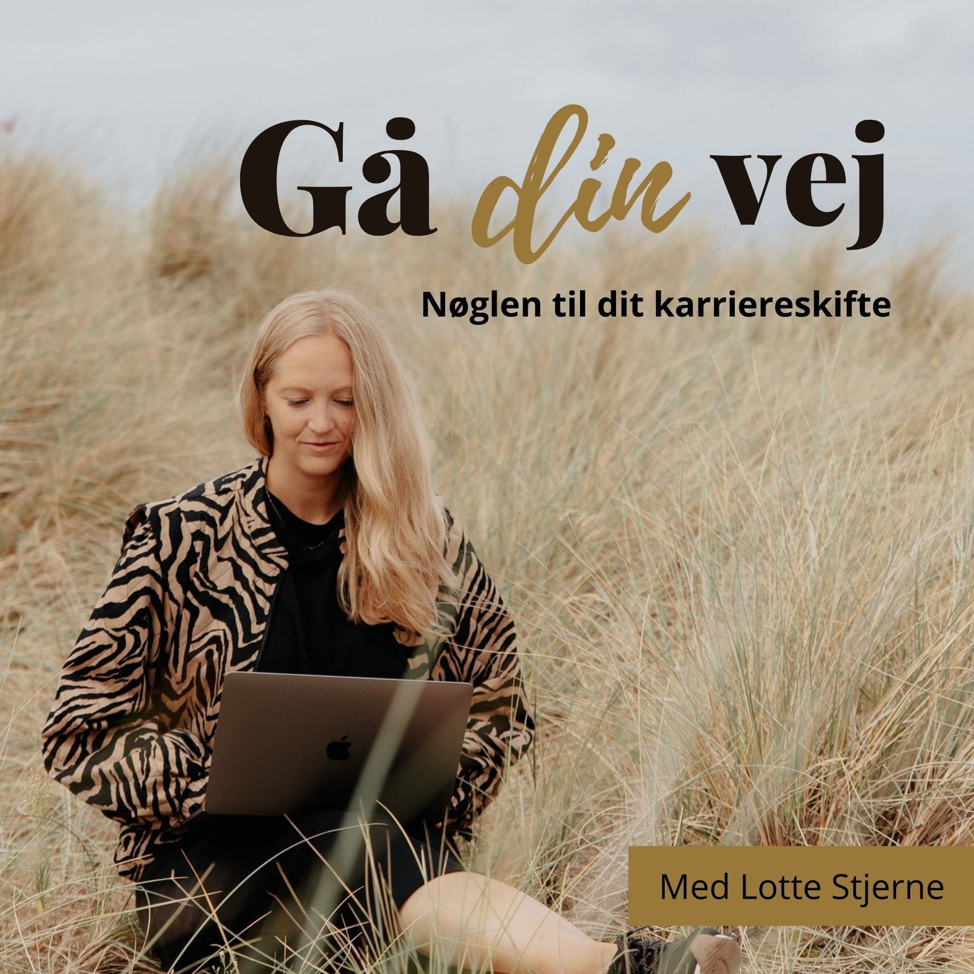 Gå DIN vej - nøglen til dit karriereskifte podcast artwork