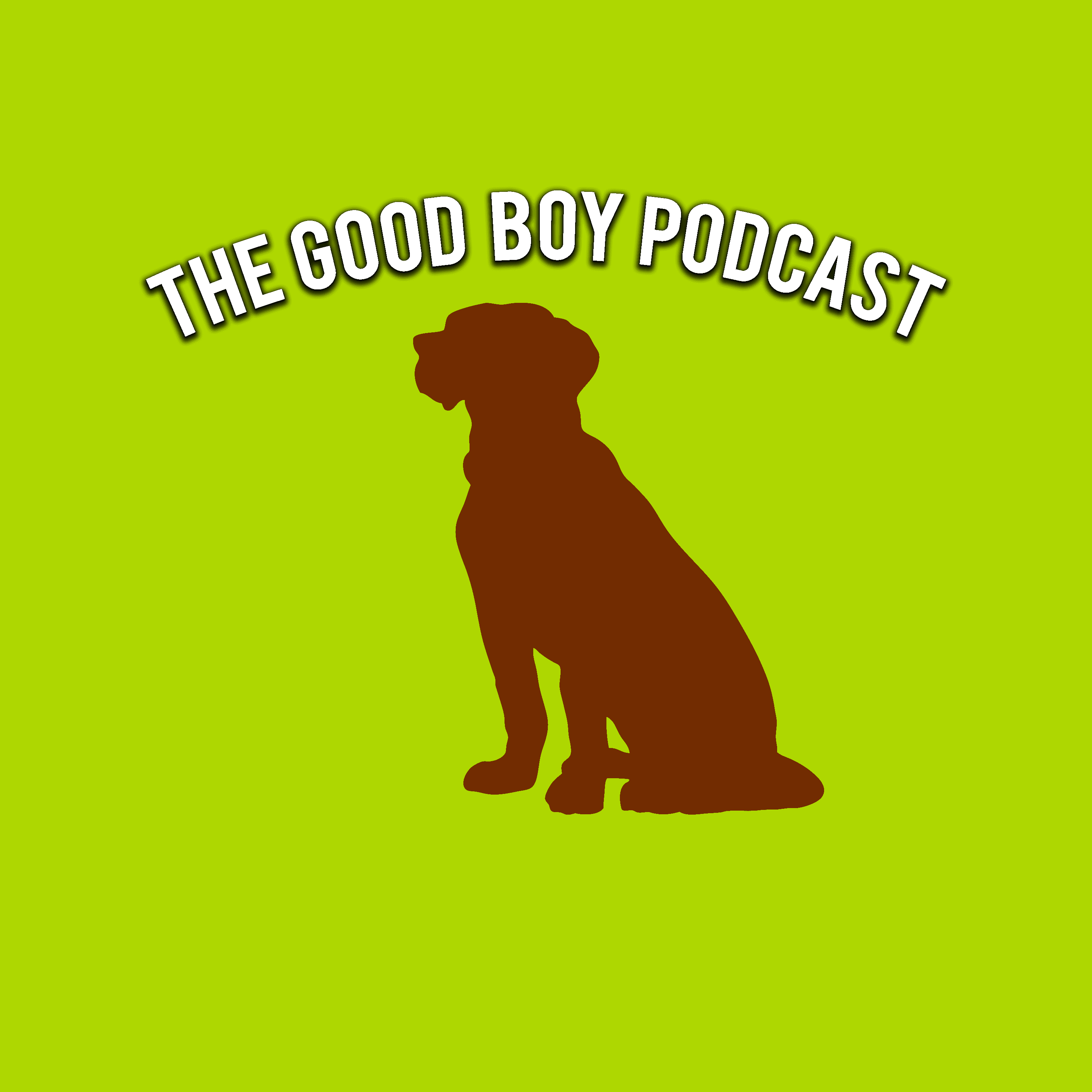 The Good Boy Podcast podcast artwork