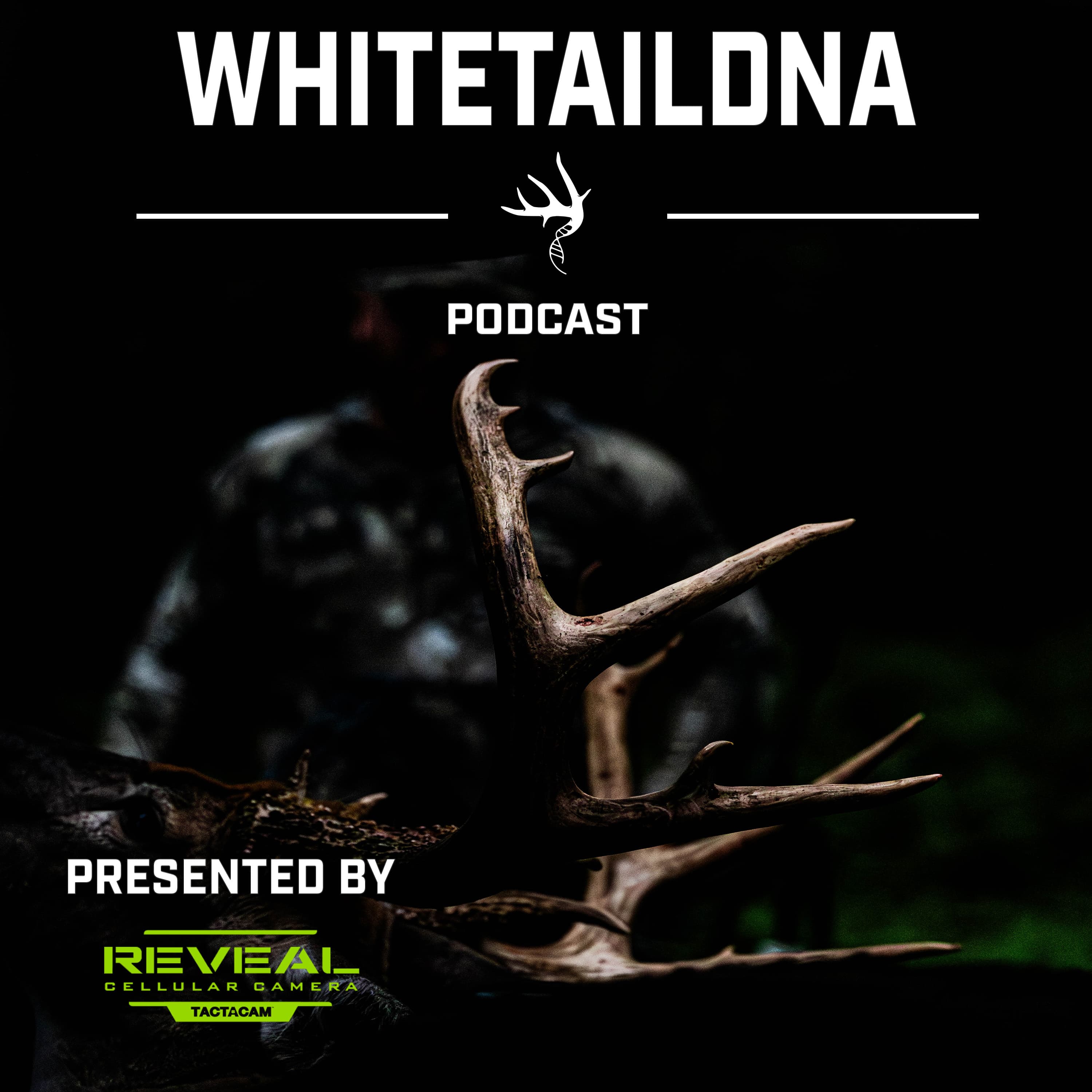 The WhitetailDNA Podcast podcast artwork