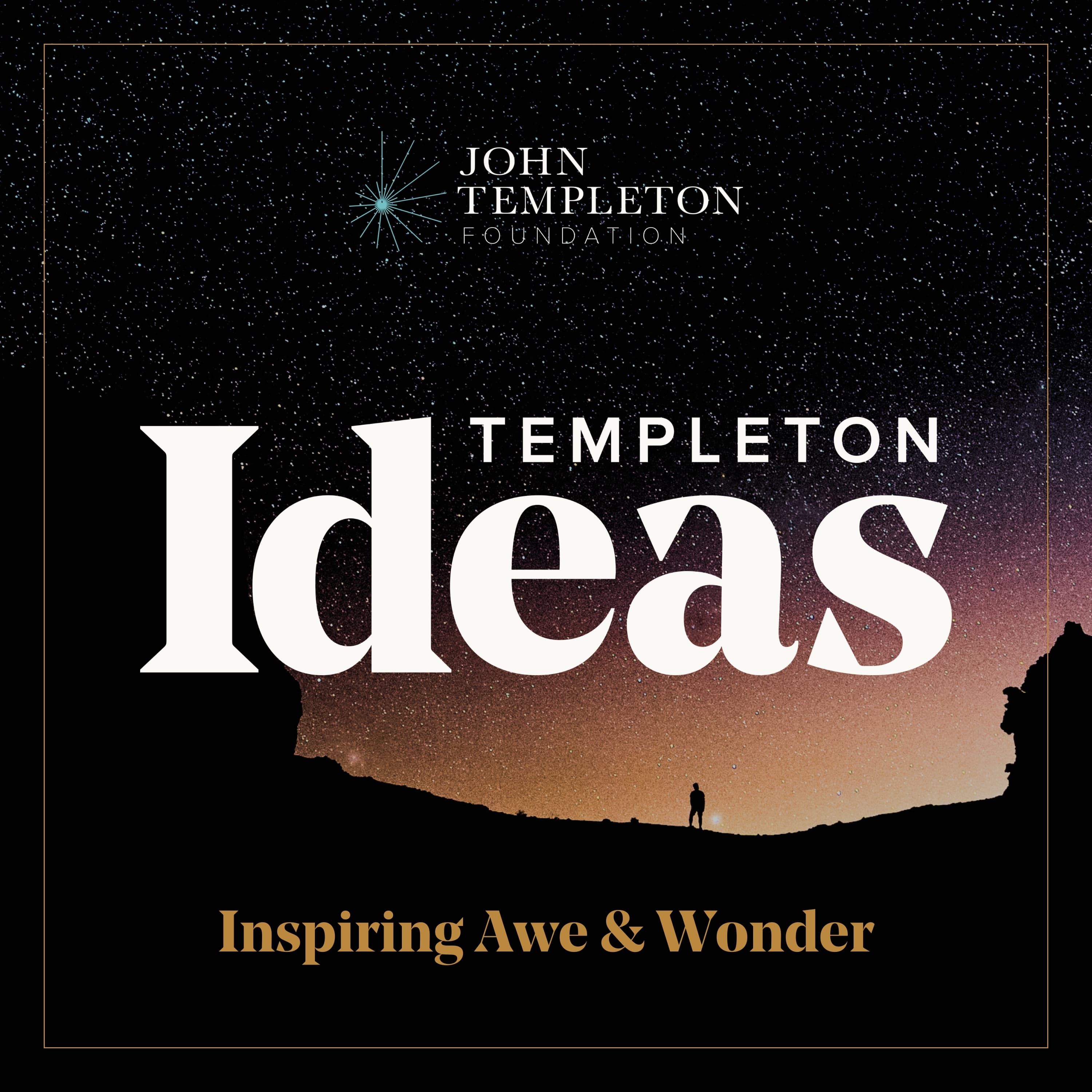 Templeton Ideas Podcast podcast artwork