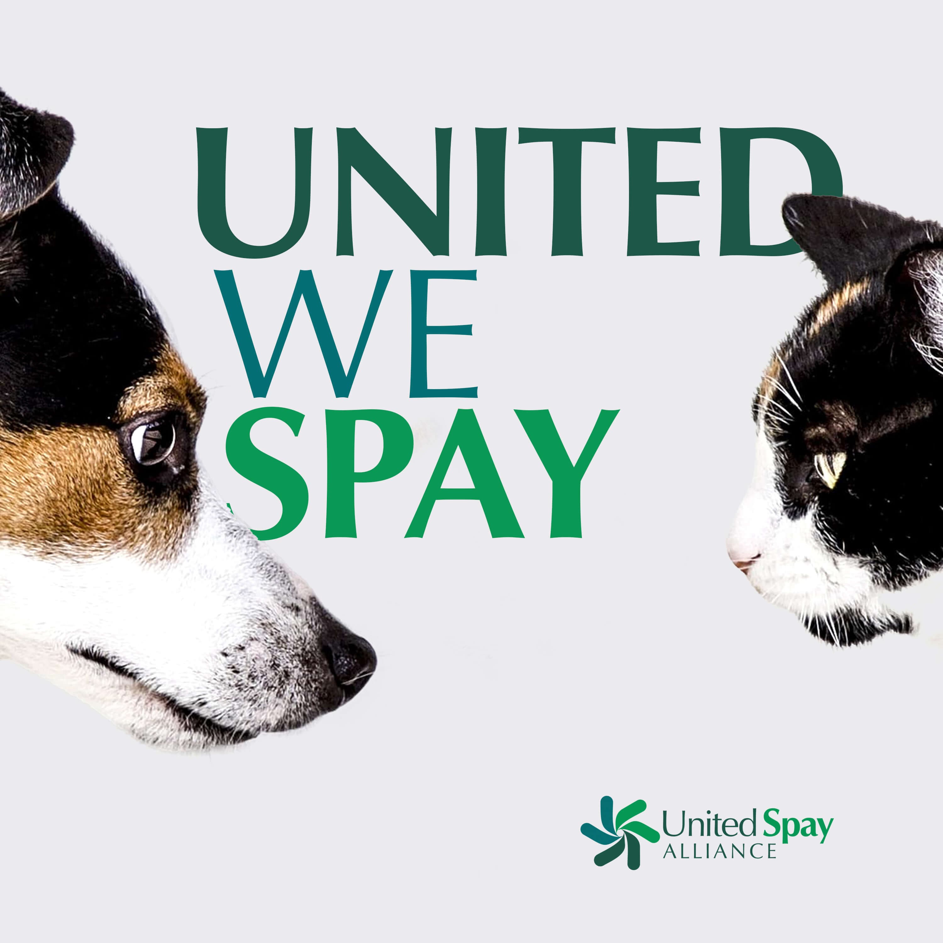 United We Spay podcast artwork