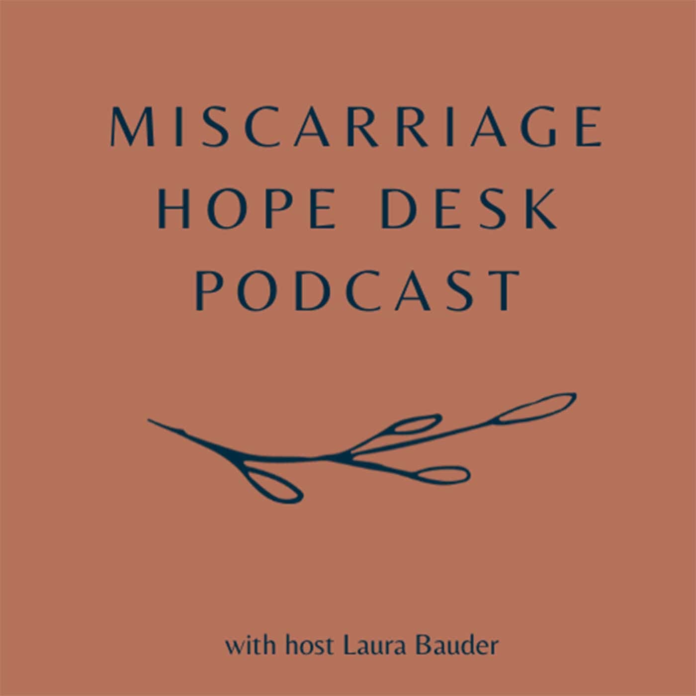 Miscarriage Hope Desk Podcast podcast artwork