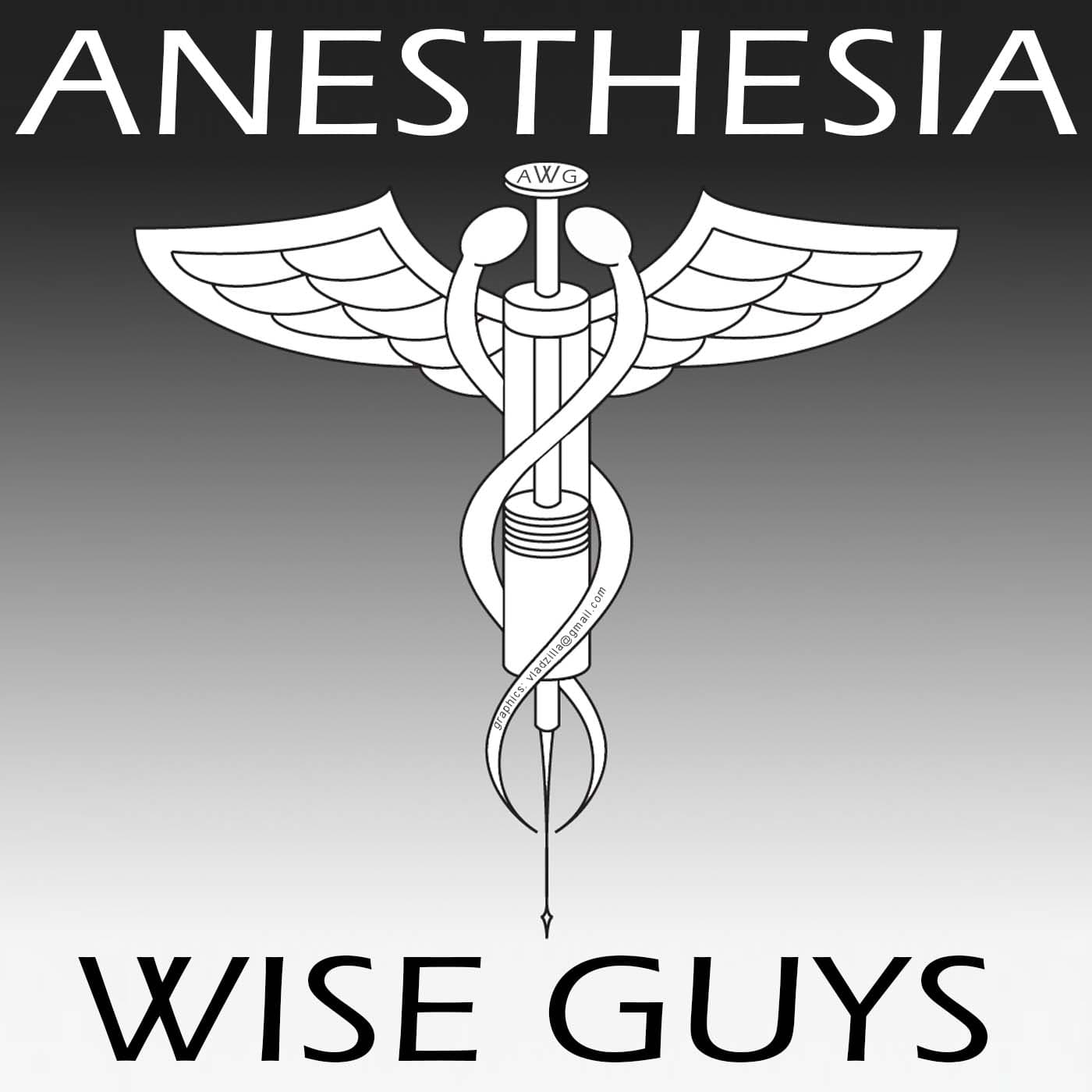 Anesthesia Wise Guys podcast artwork