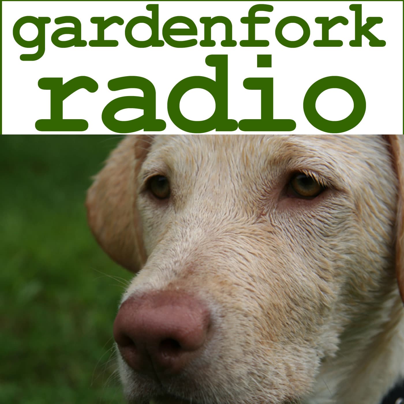 GardenFork Radio - Eclectic DIY podcast artwork