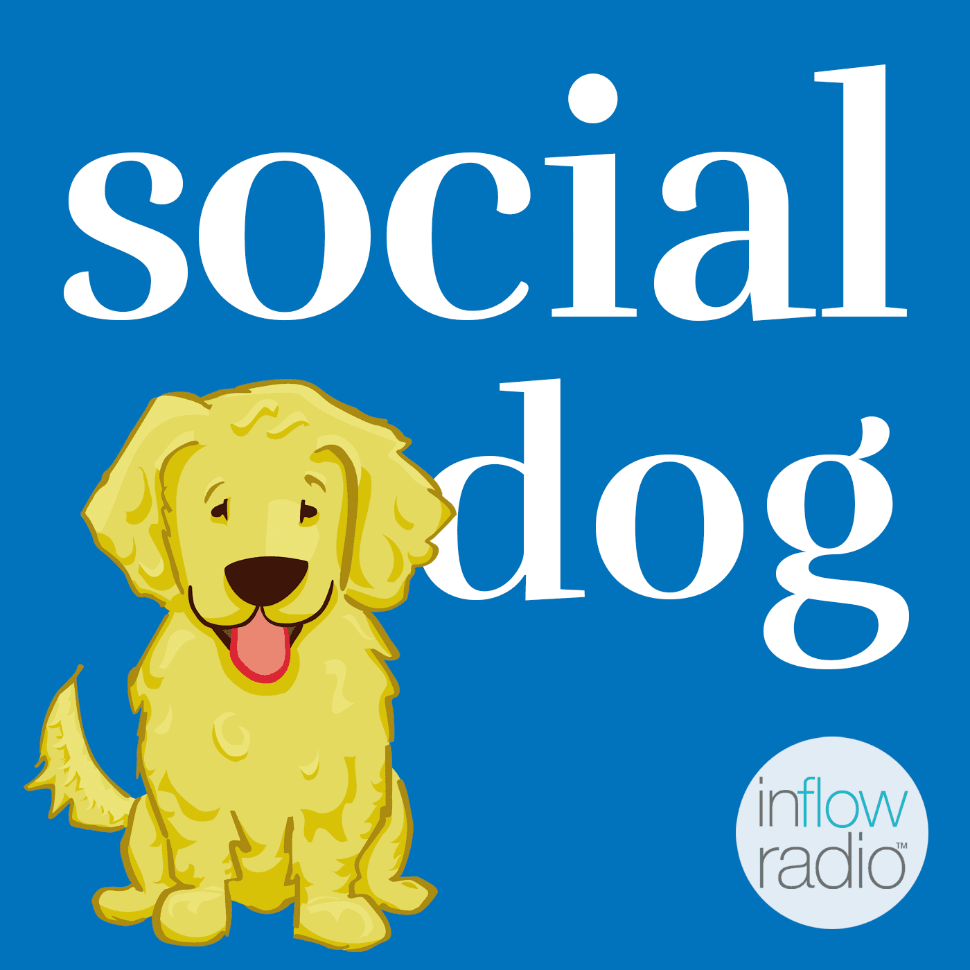 Social Dog podcast artwork