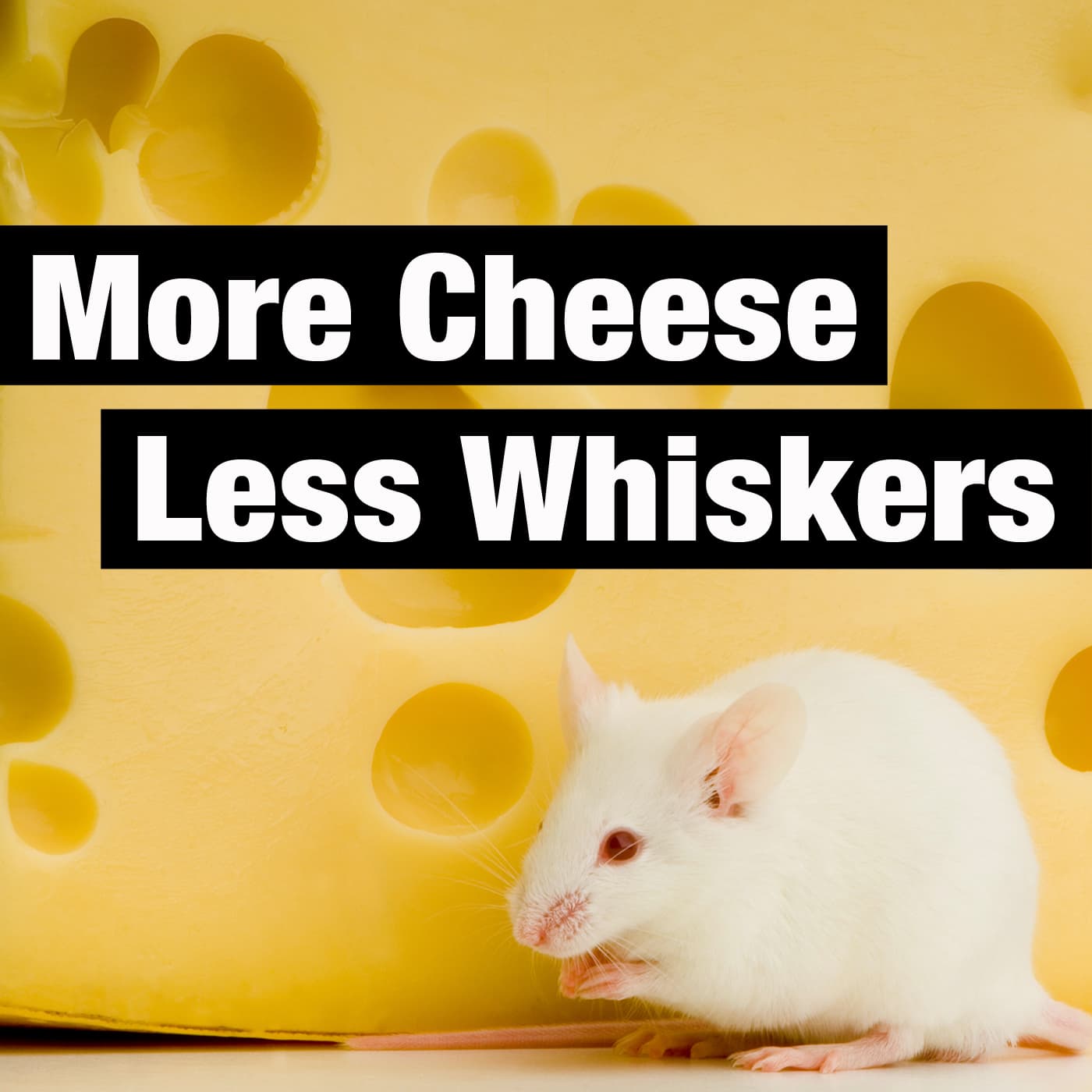 More Cheese Less Whiskers podcast artwork