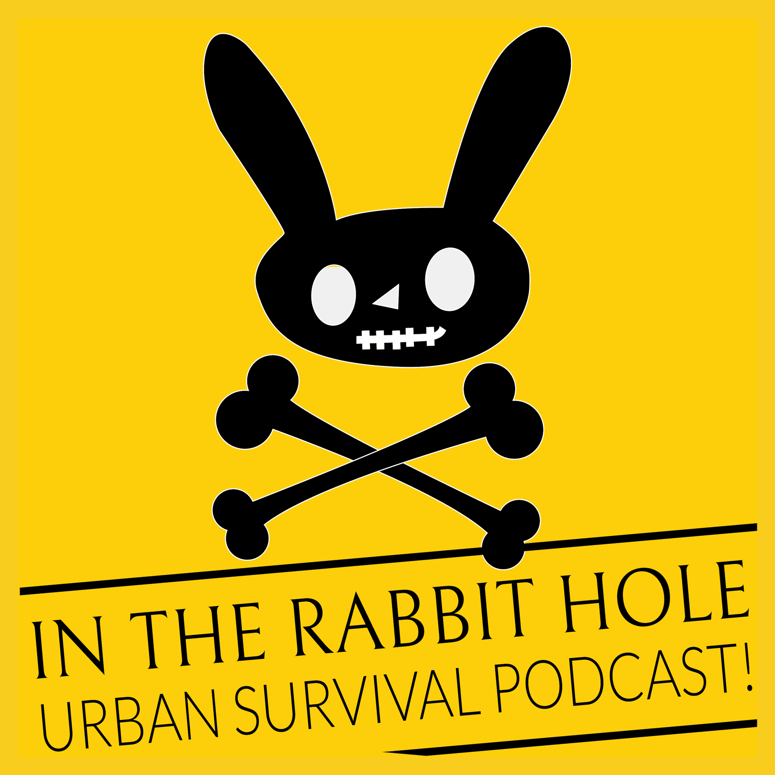 In The Rabbit Hole podcast artwork