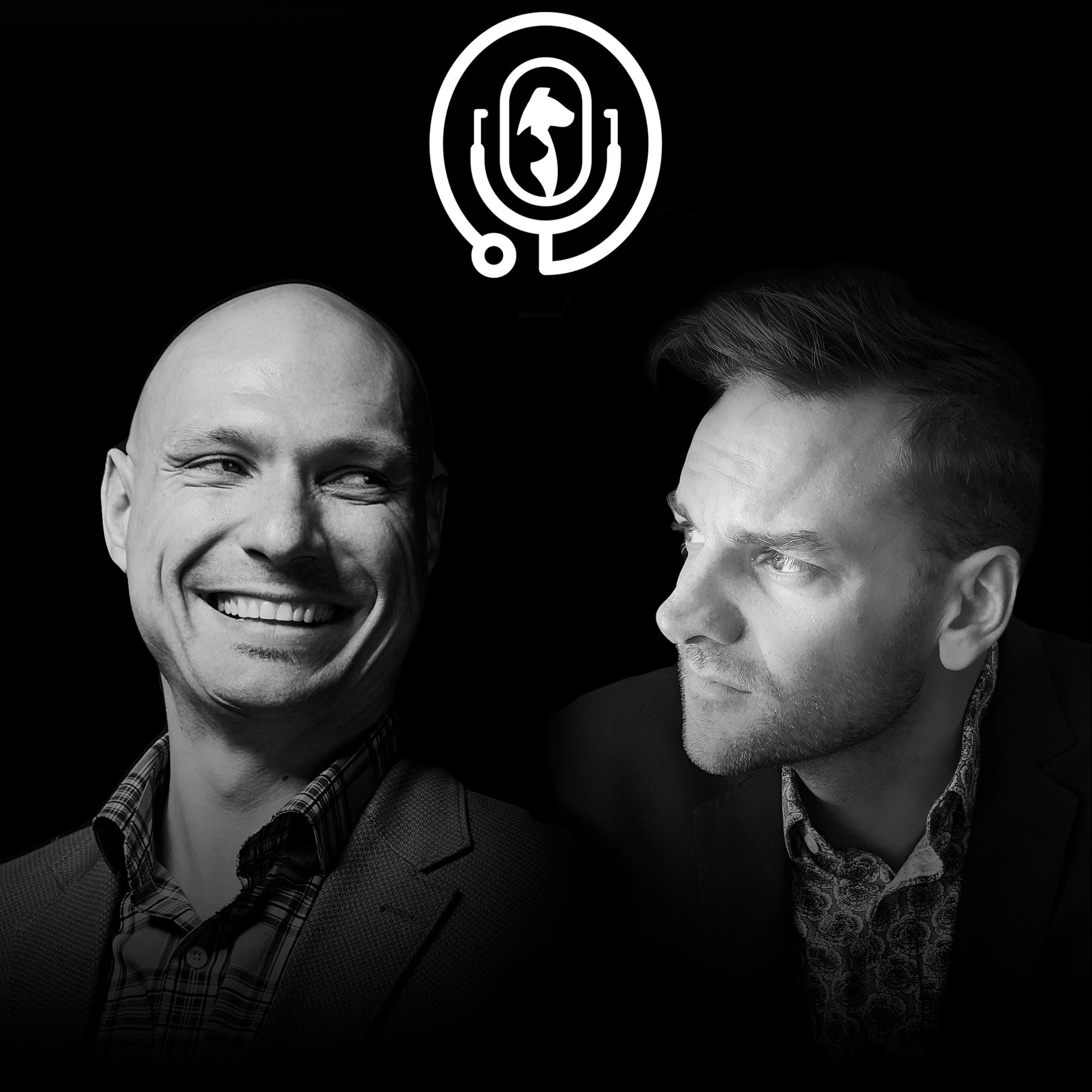 Veterinary Innovation Podcast podcast artwork