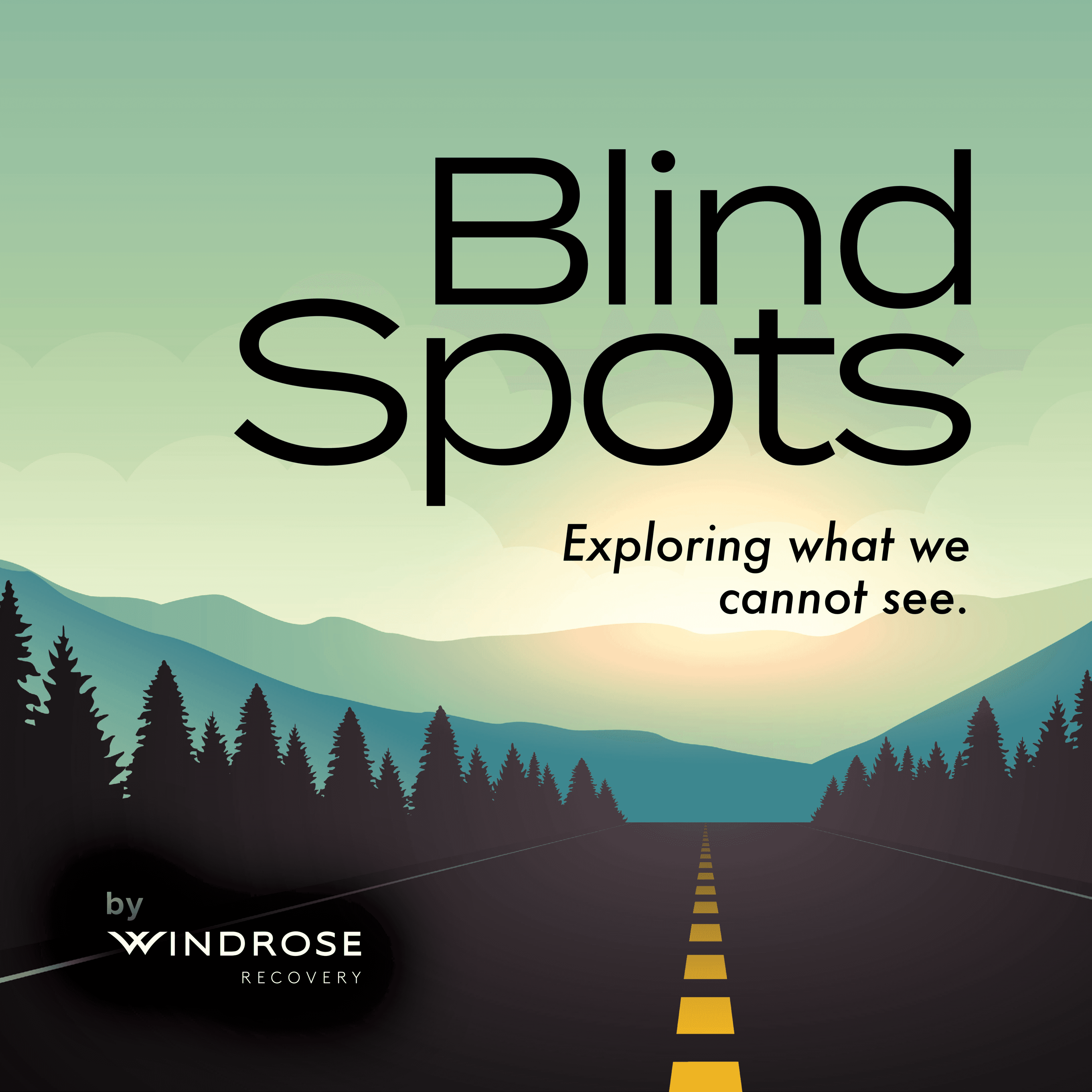 Blind Spots: Exploring What We Cannot See podcast artwork
