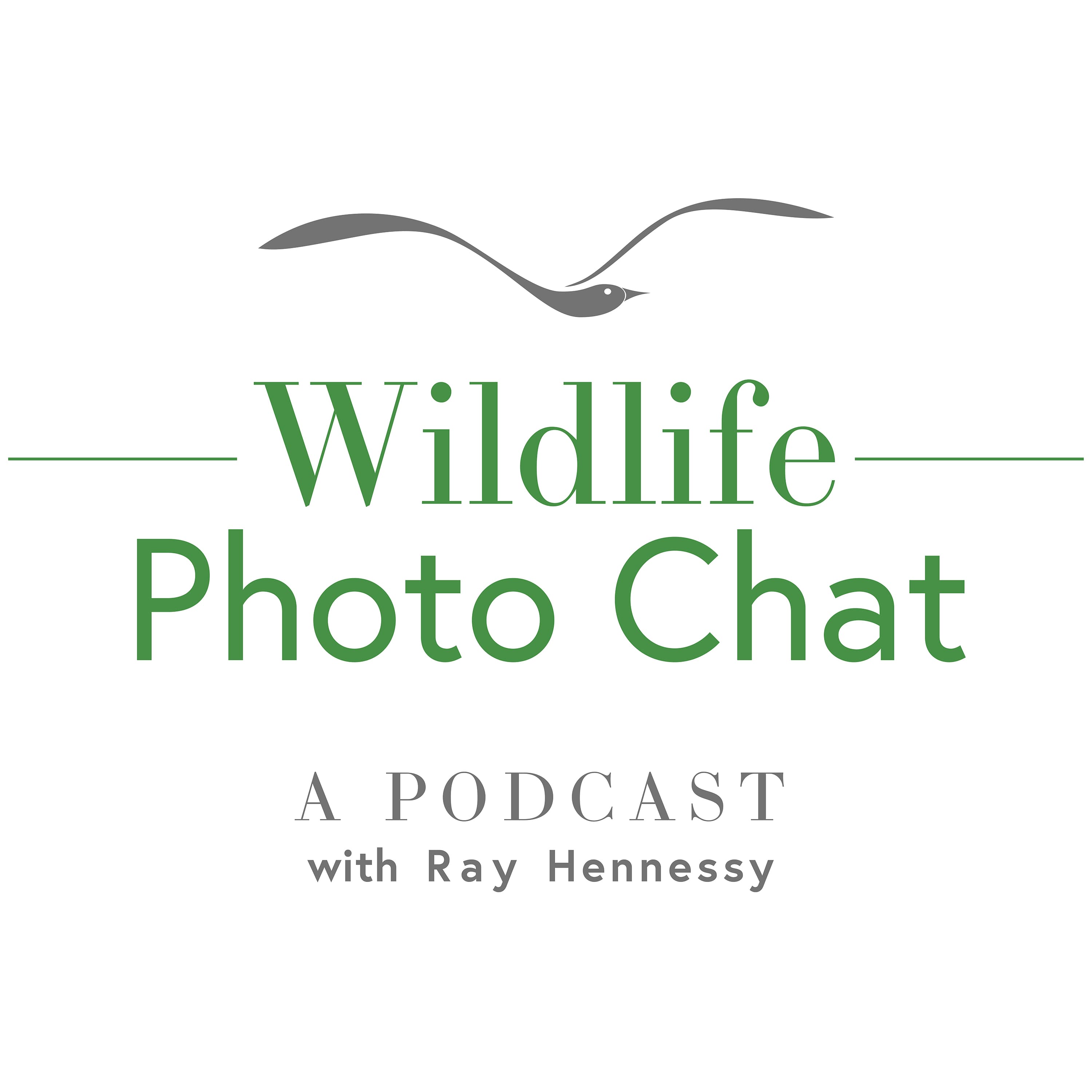 Wildlife Photo Chat podcast artwork