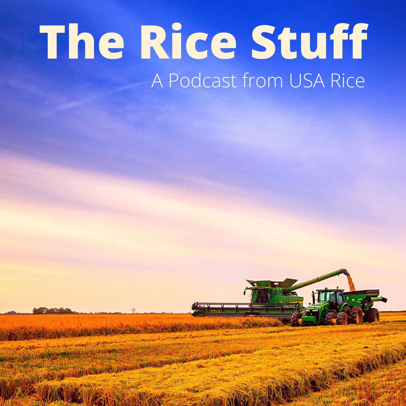 The Rice Stuff podcast artwork
