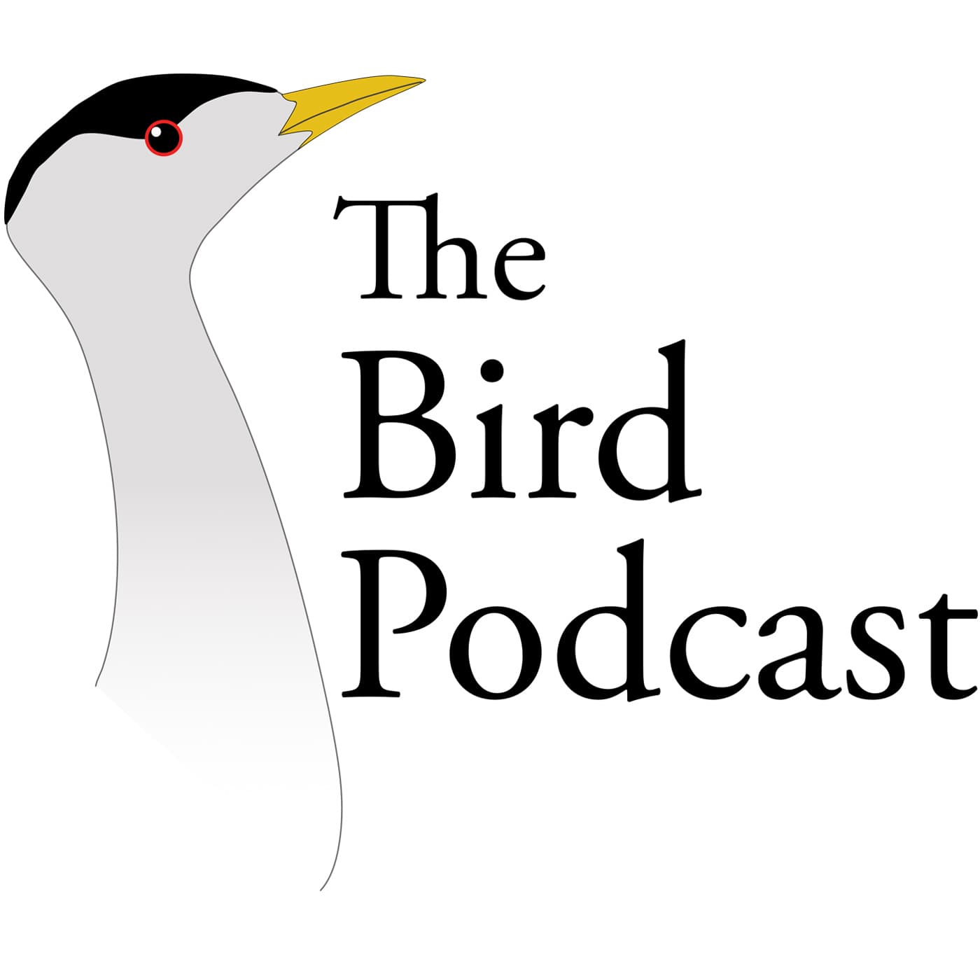 Bird Podcast with Shoba Narayan podcast artwork