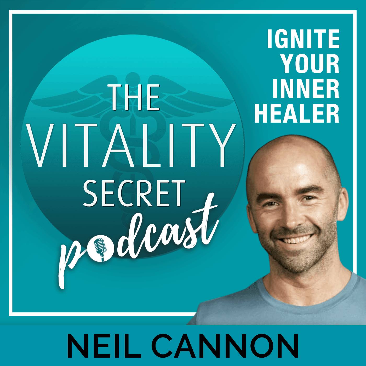 The Vitality Secret Podcast - Defy Disease, Combat Common Illnesses And Stay Young podcast artwork