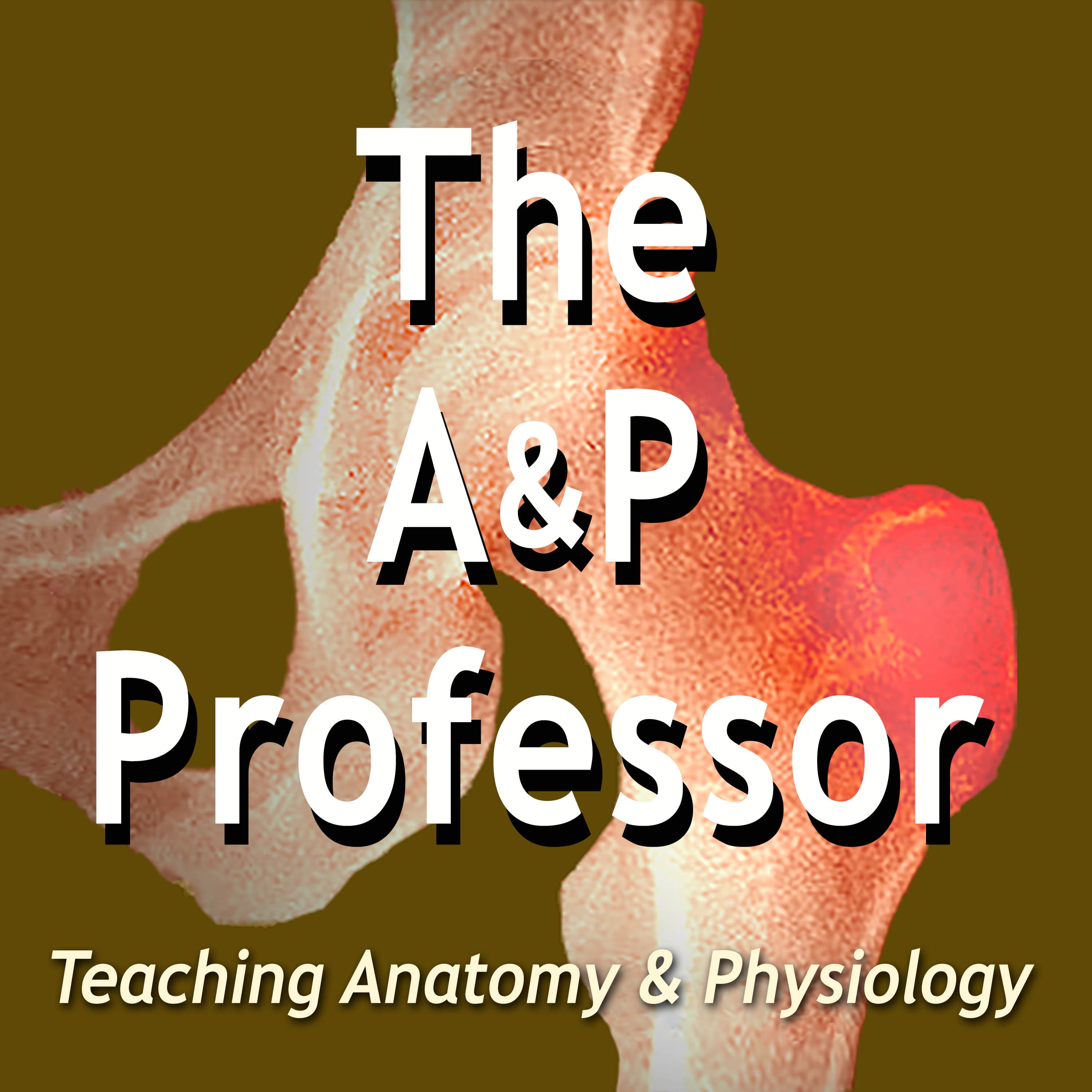 The A&P Professor podcast artwork