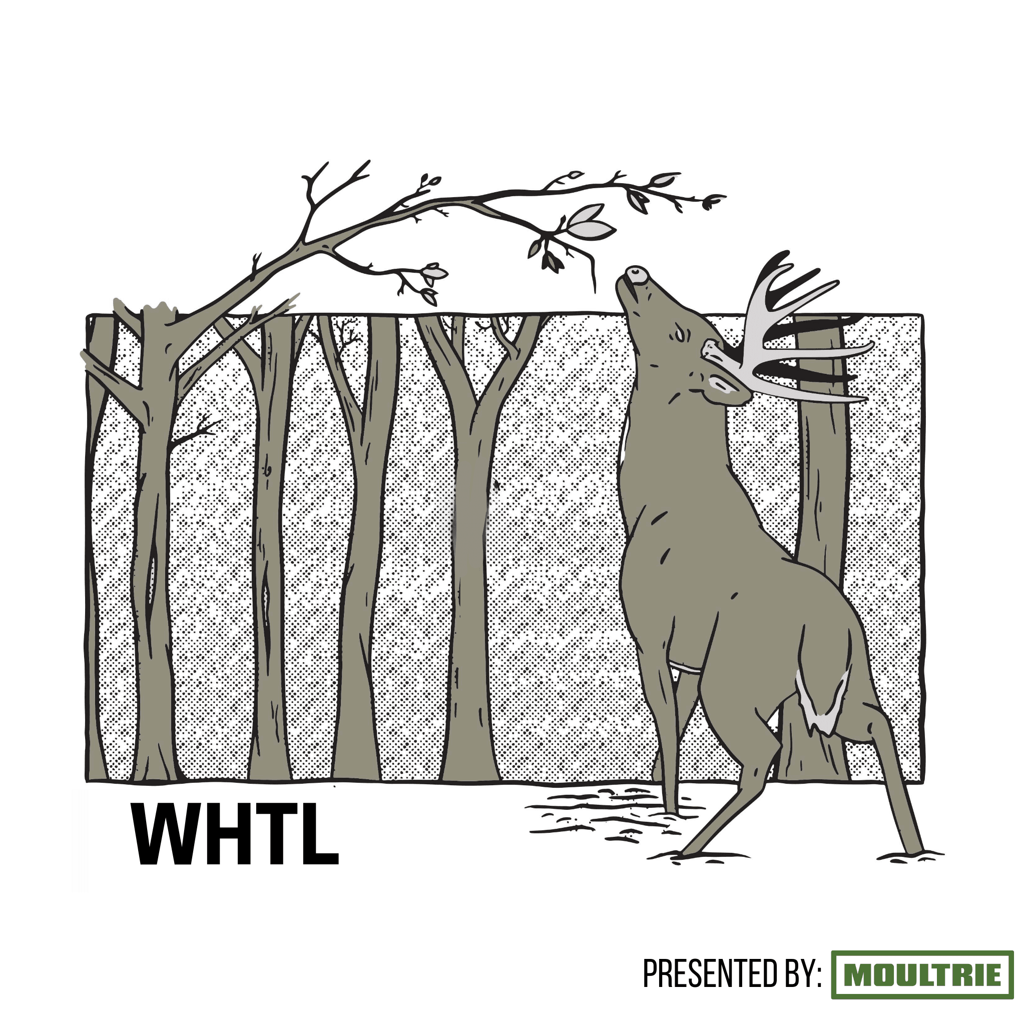 The WHTL Podcast - Whitetail Deer Hunting Tactics, Stories & Expert Guests podcast artwork