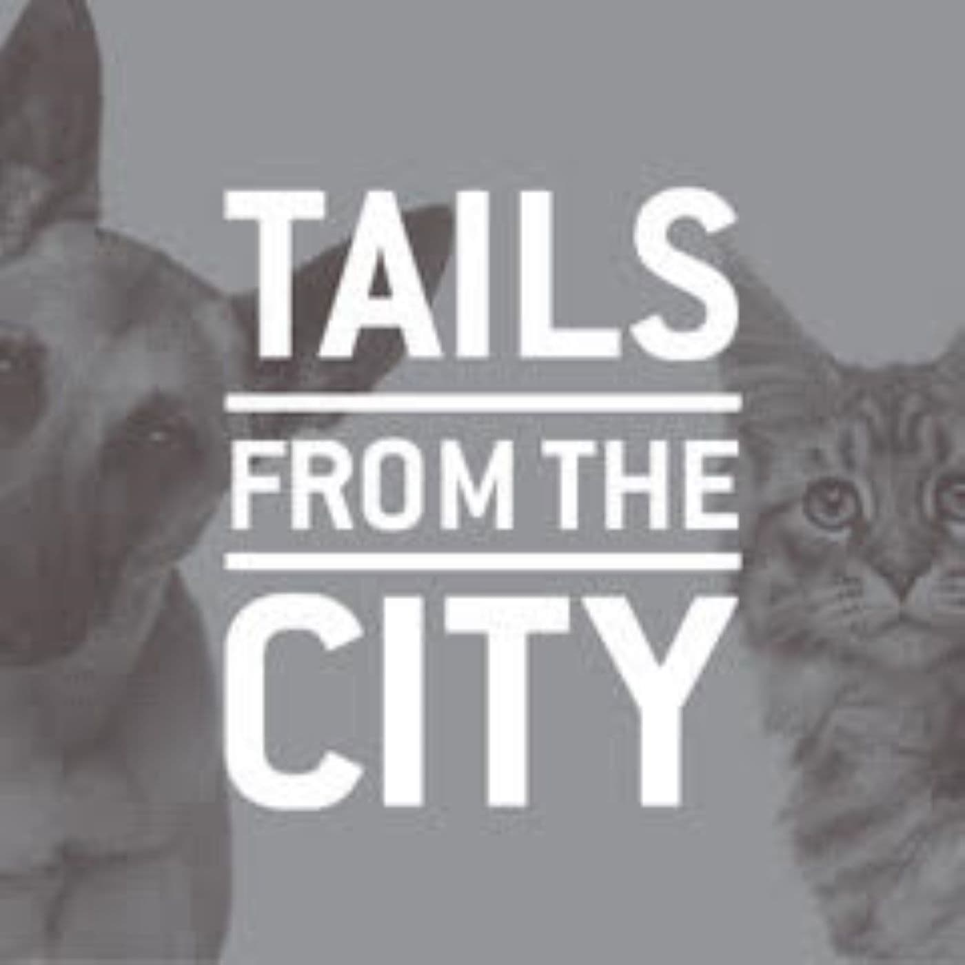 TAILS from the CITY podcast artwork